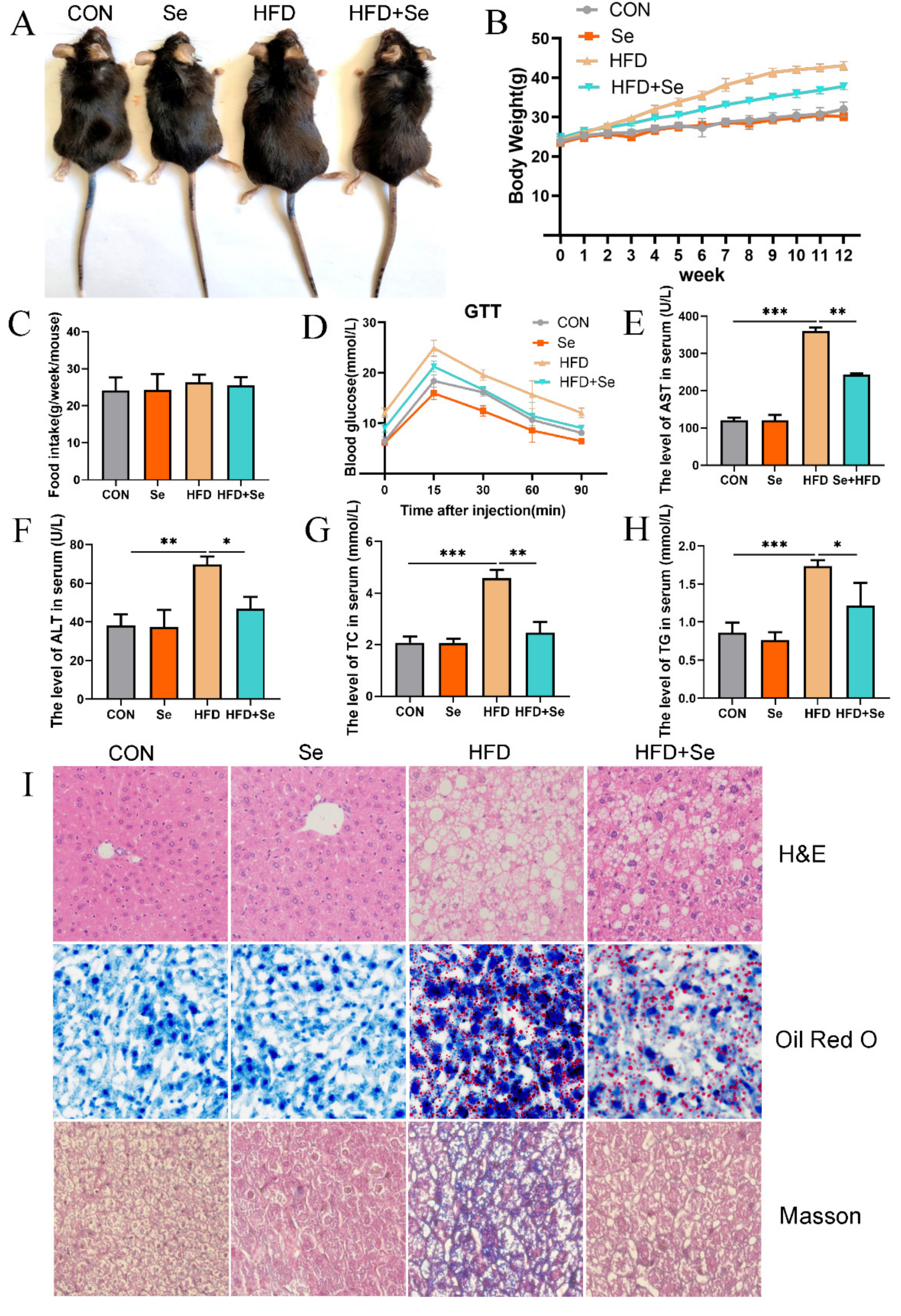 Antioxidants 11 00349 g001