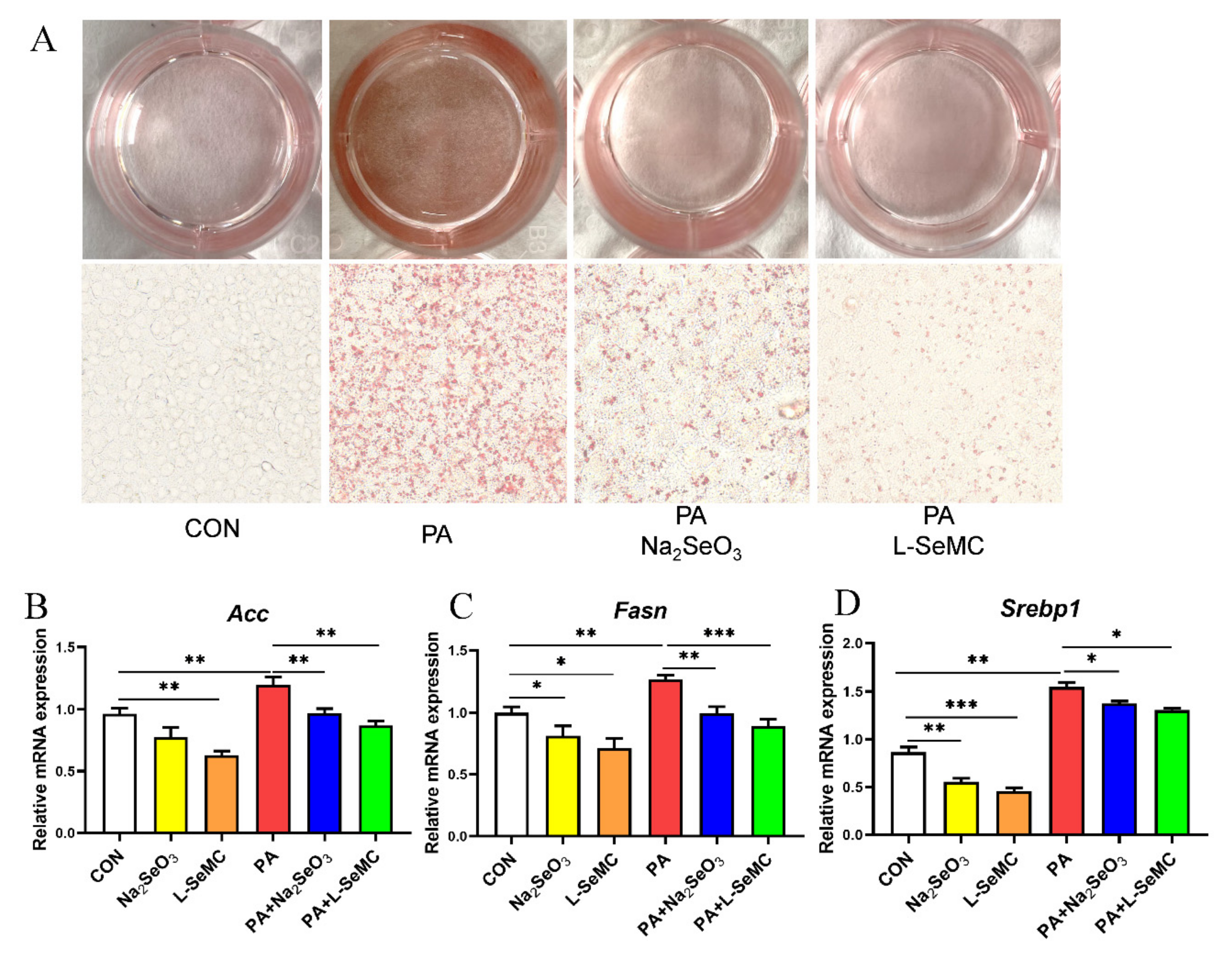 Antioxidants 11 00349 g003