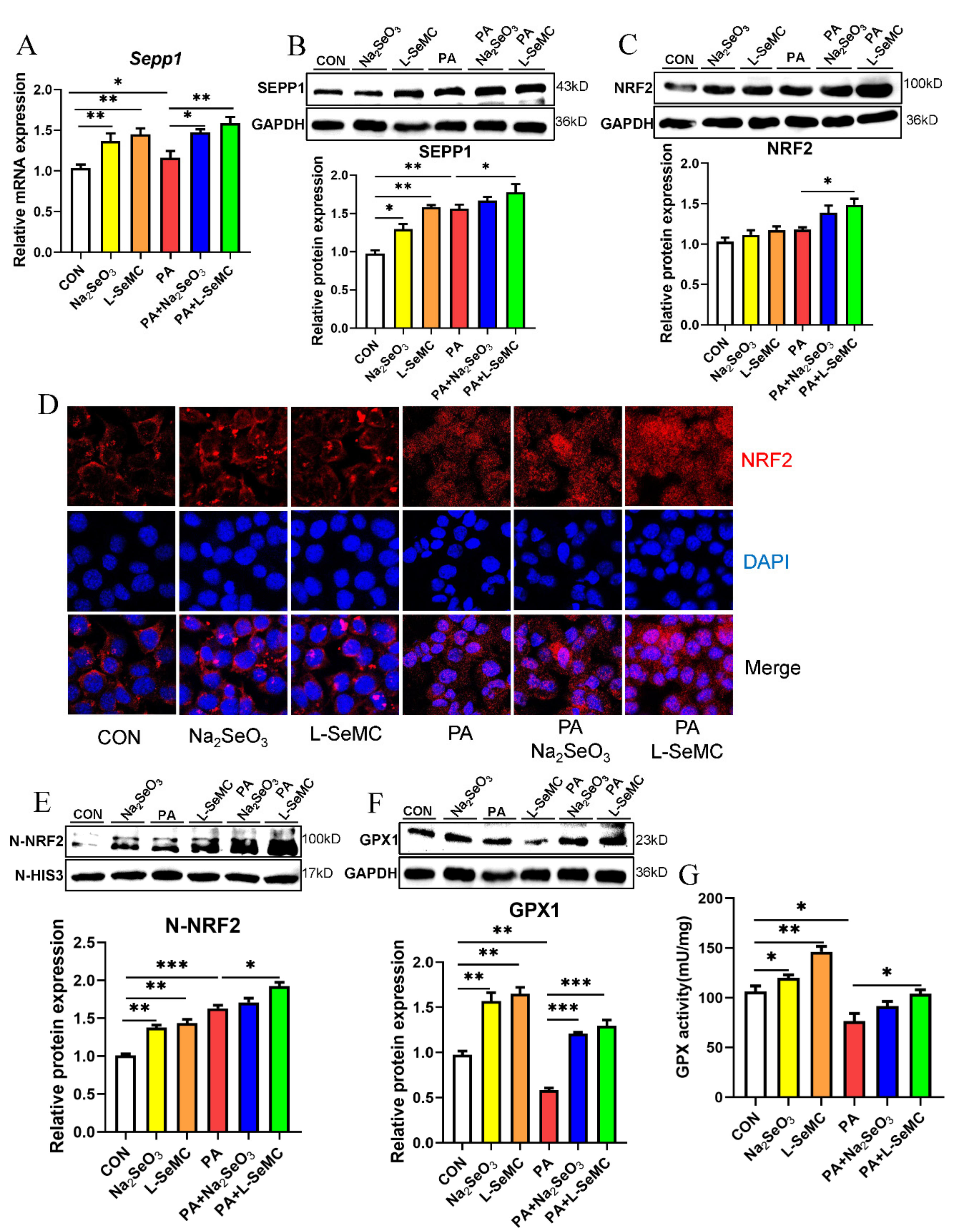 Antioxidants 11 00349 g005