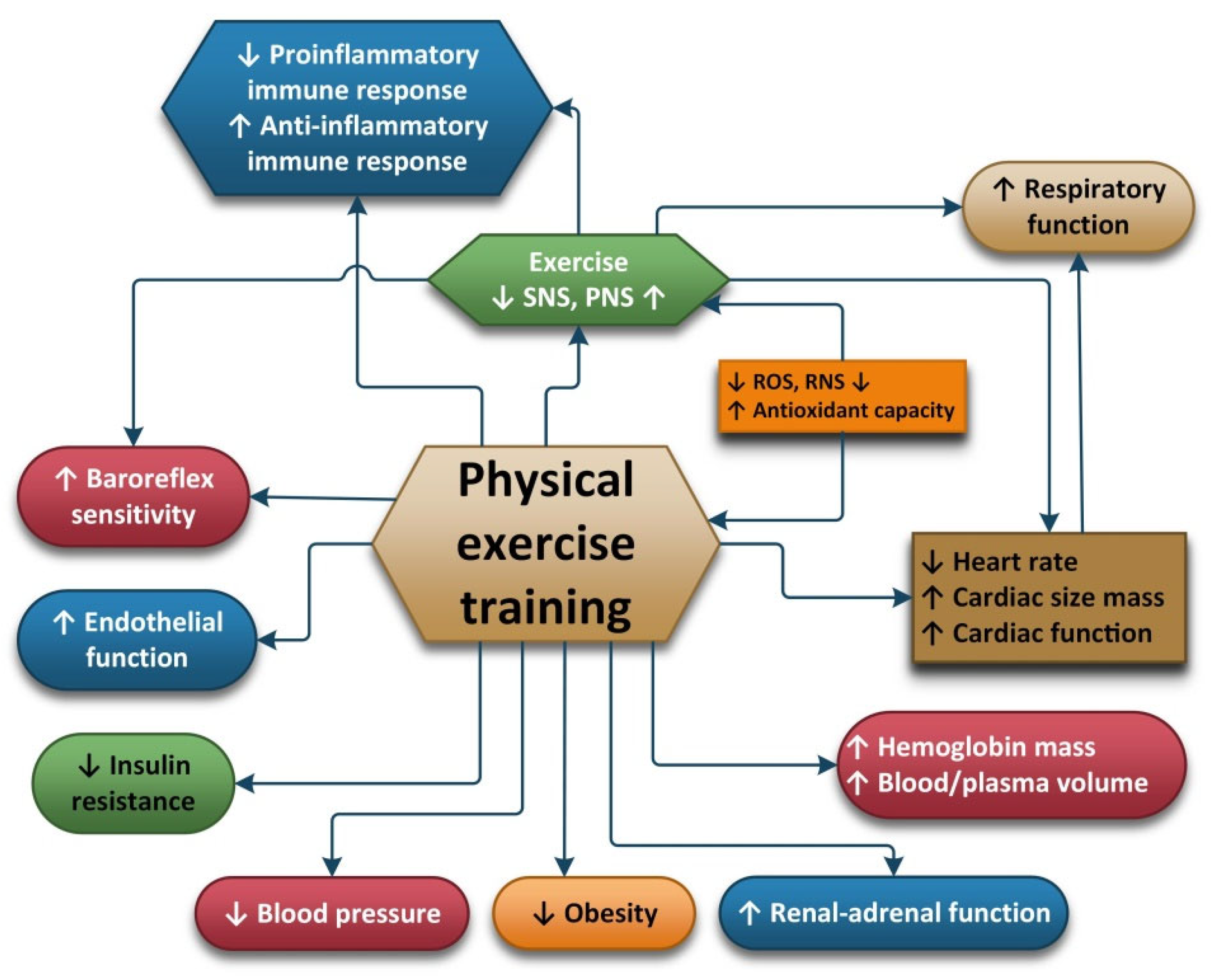 Antioxidants 11 00350 g003