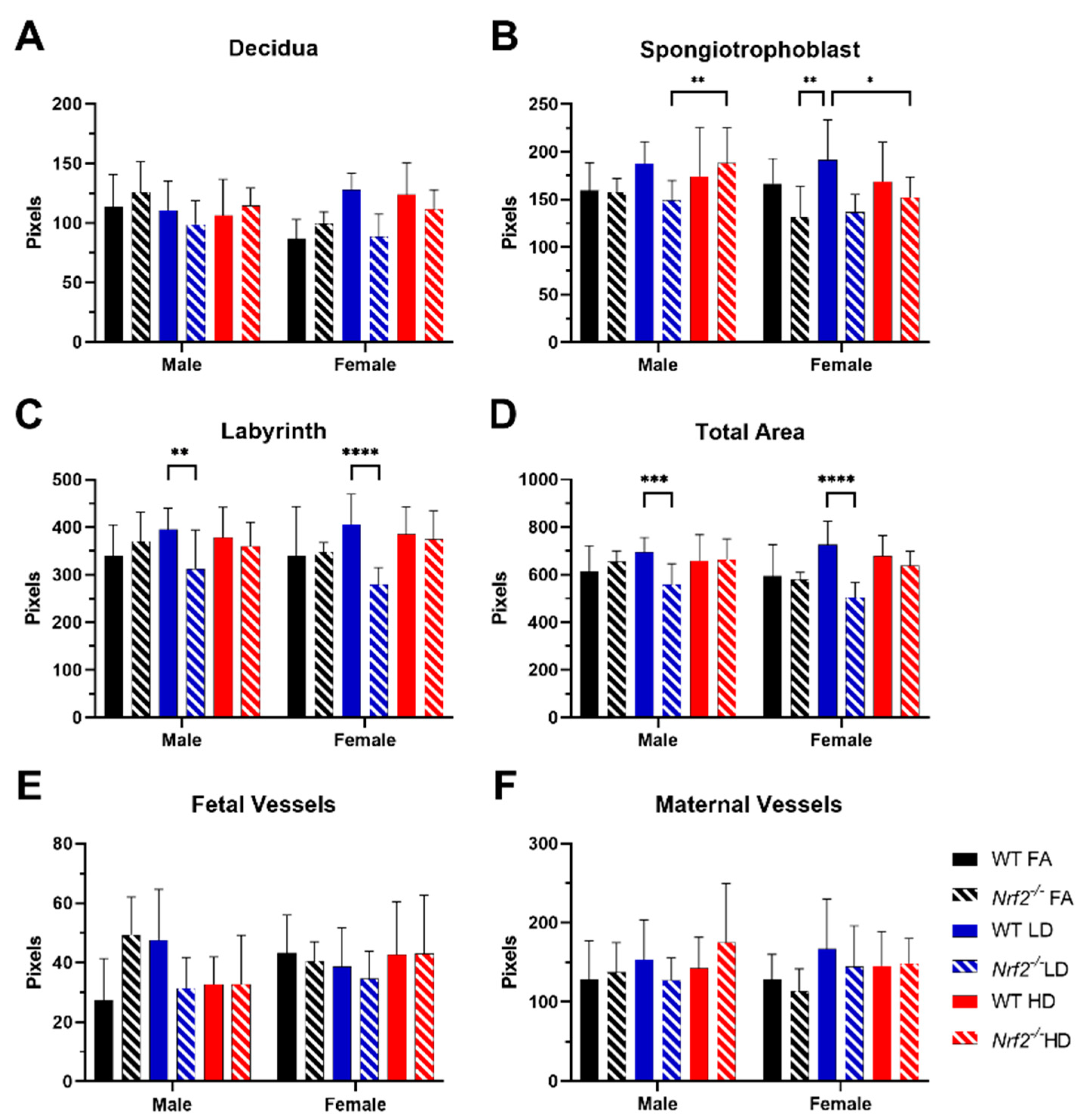 Antioxidants 11 00352 g004 Antioxidants 11 00352 g004