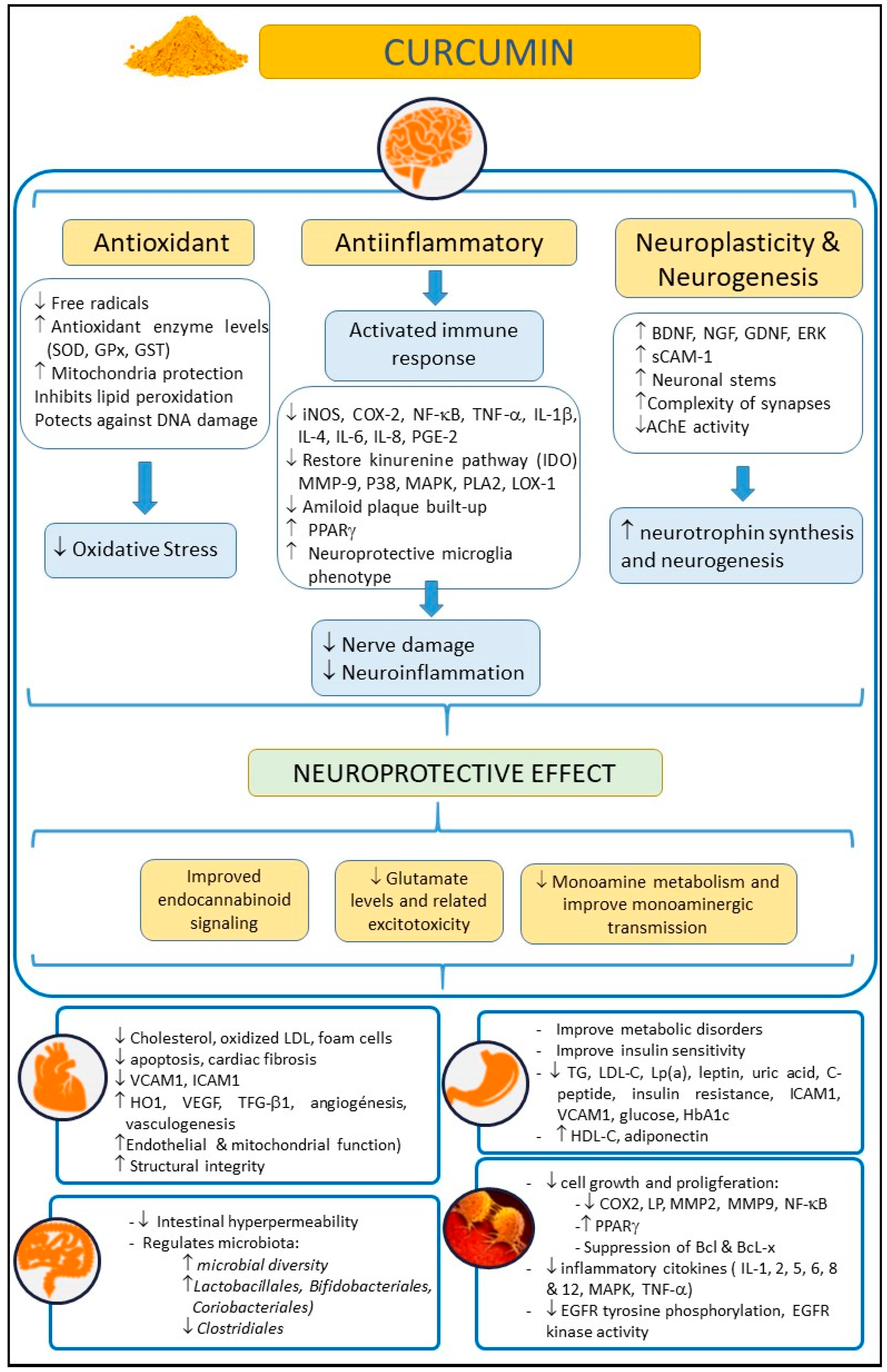 Antioxidants 11 00353 g001