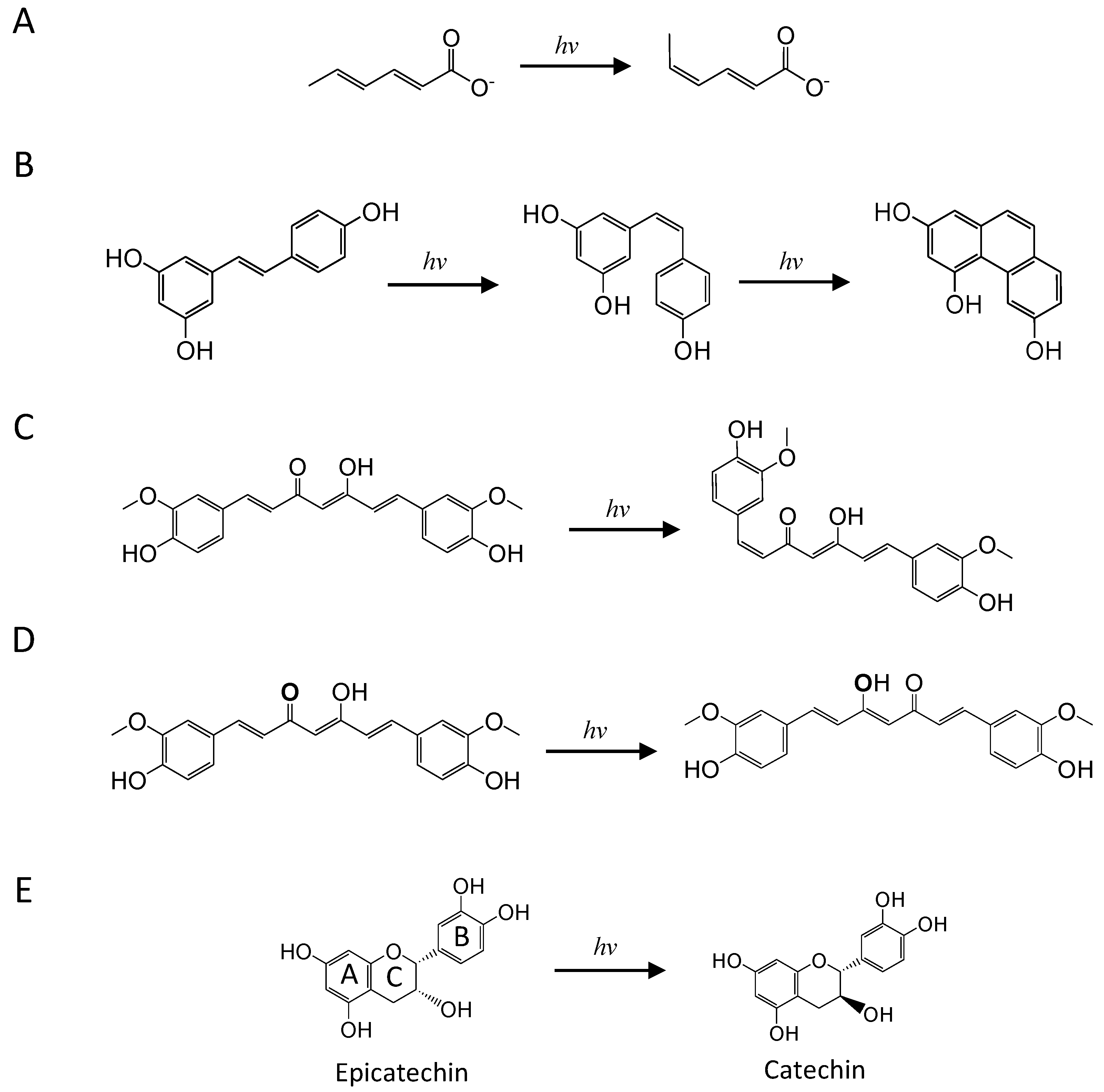 Antioxidants 11 00357 g005 Antioxidants 11 00357 g005