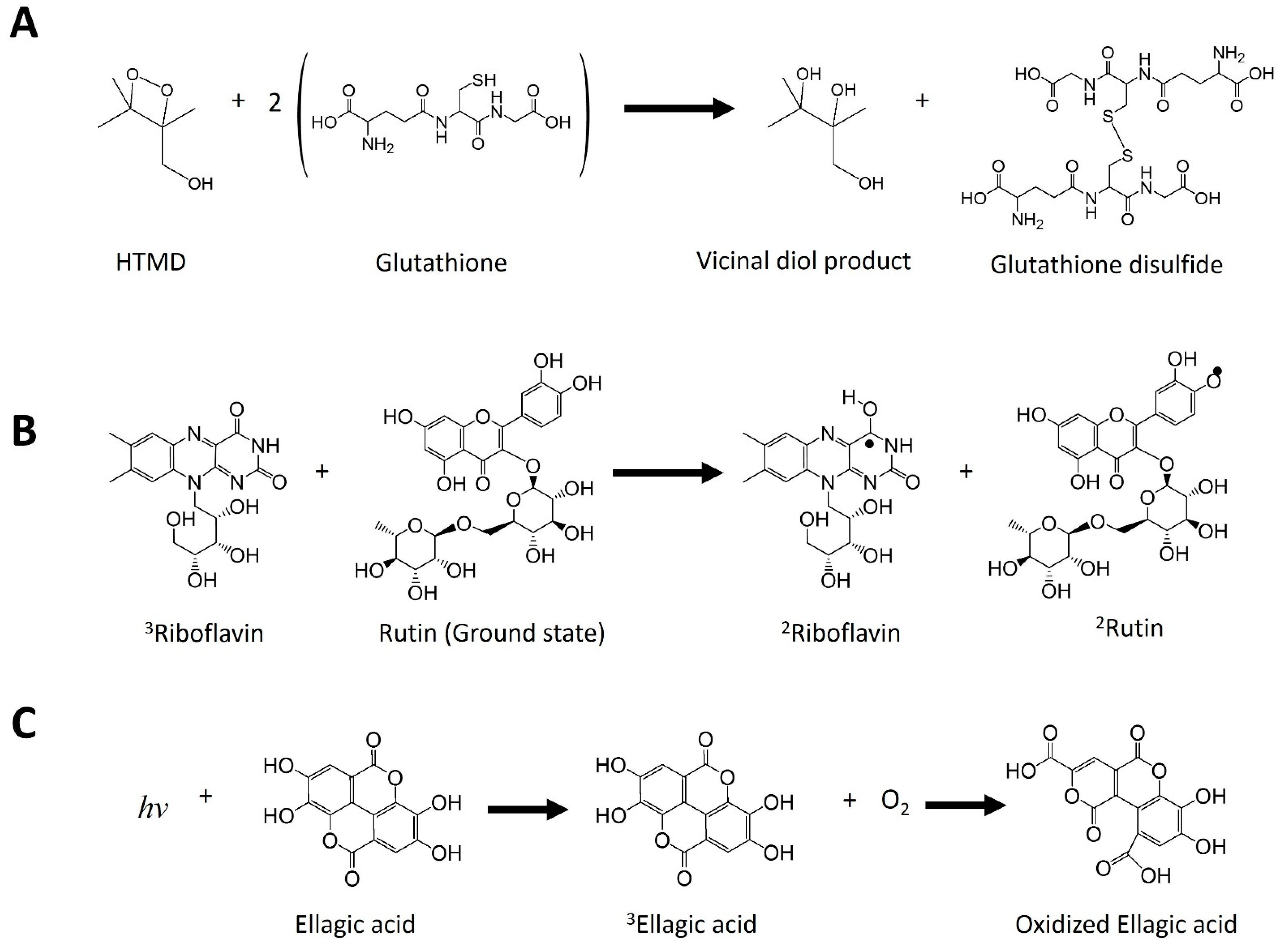 Antioxidants 11 00357 g006 Antioxidants 11 00357 g006