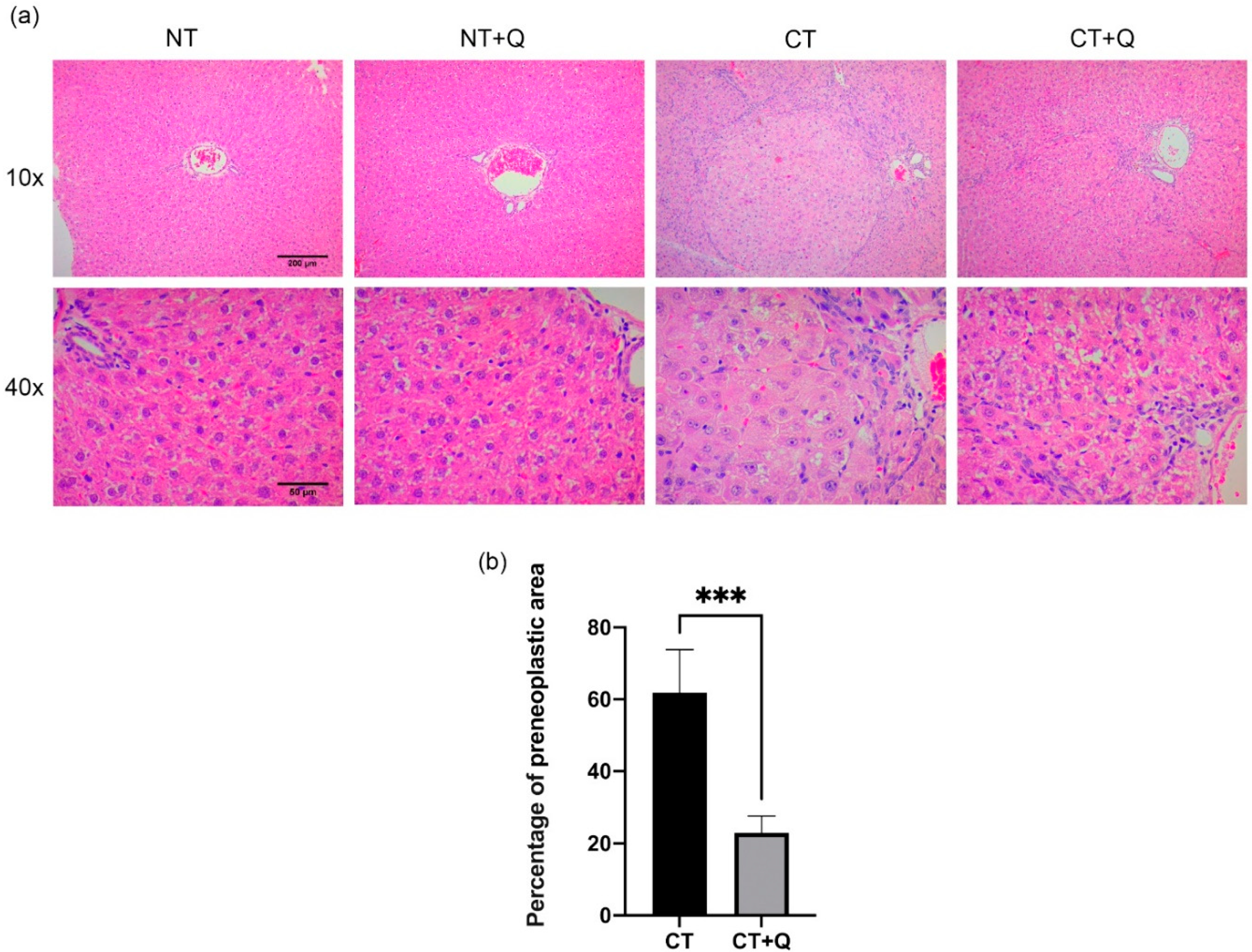 Antioxidants 11 00358 g002