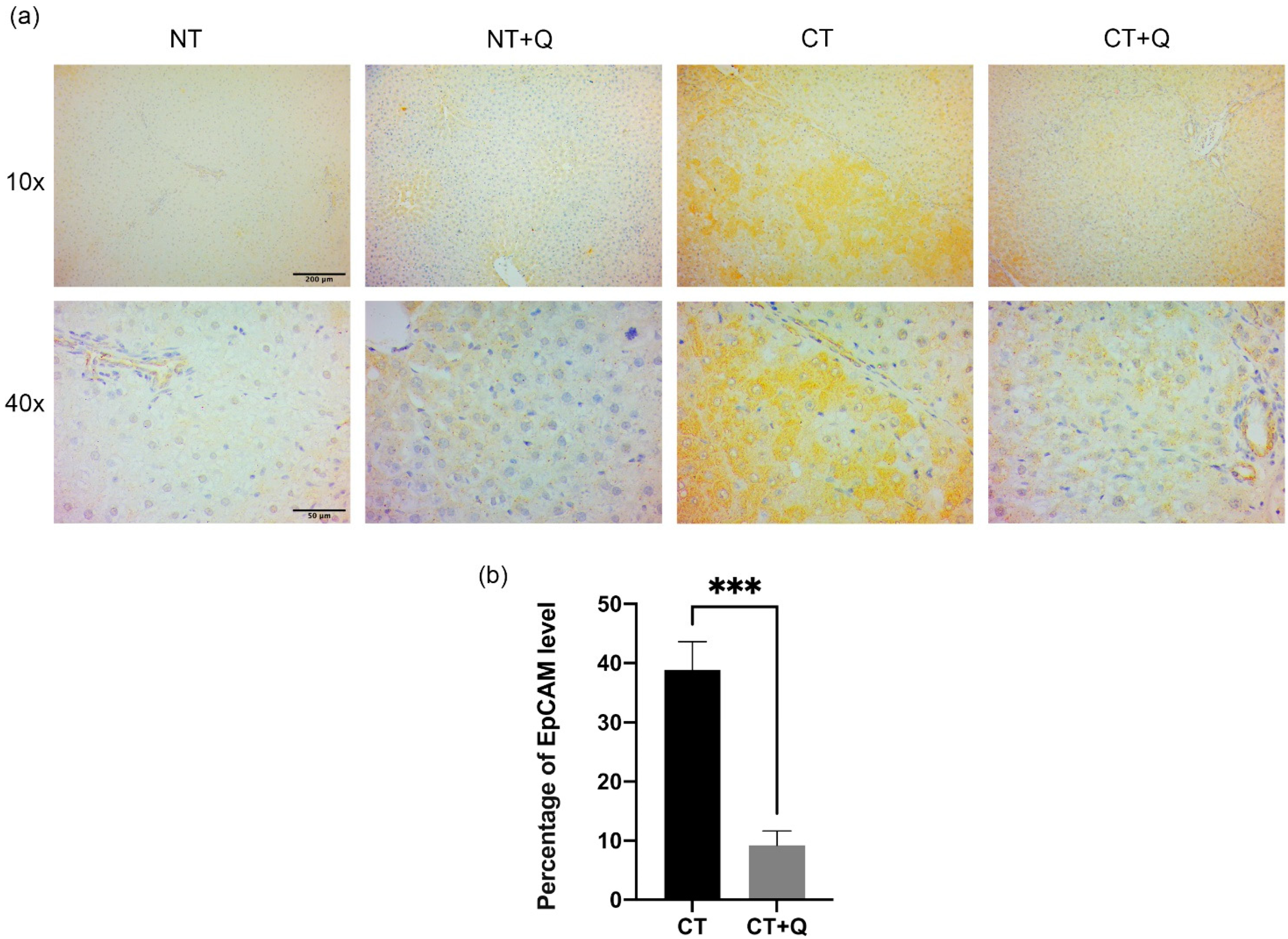 Antioxidants 11 00358 g007