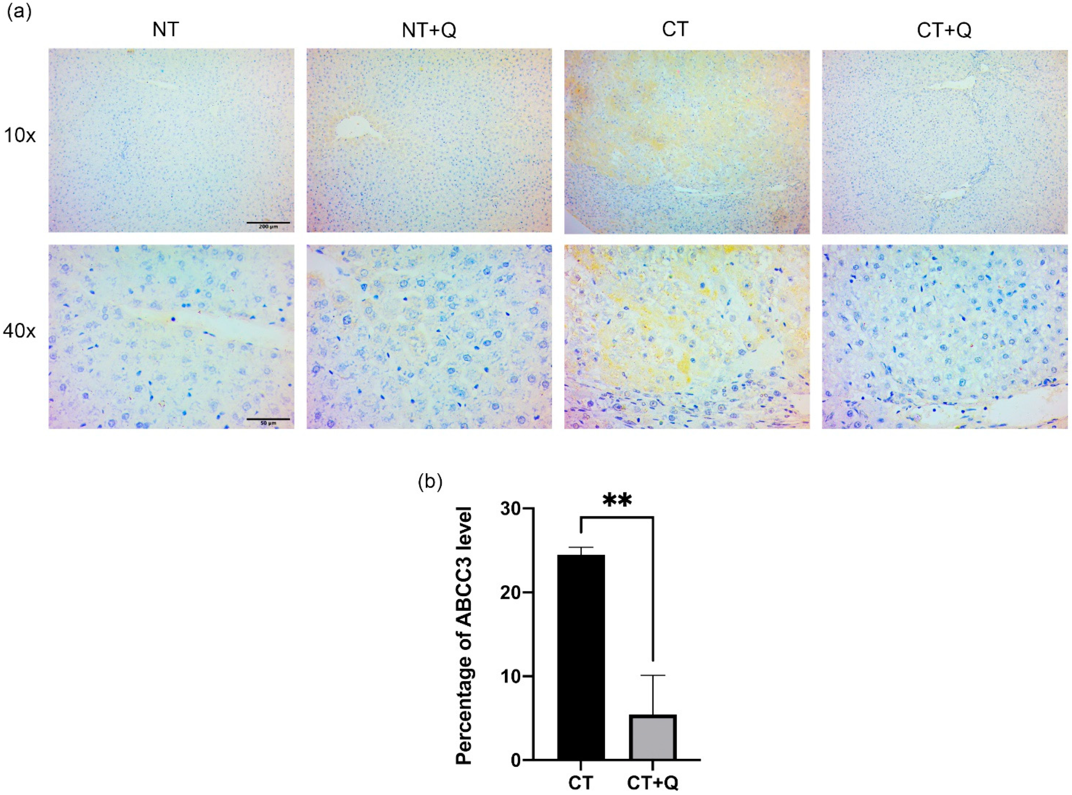 Antioxidants 11 00358 g008