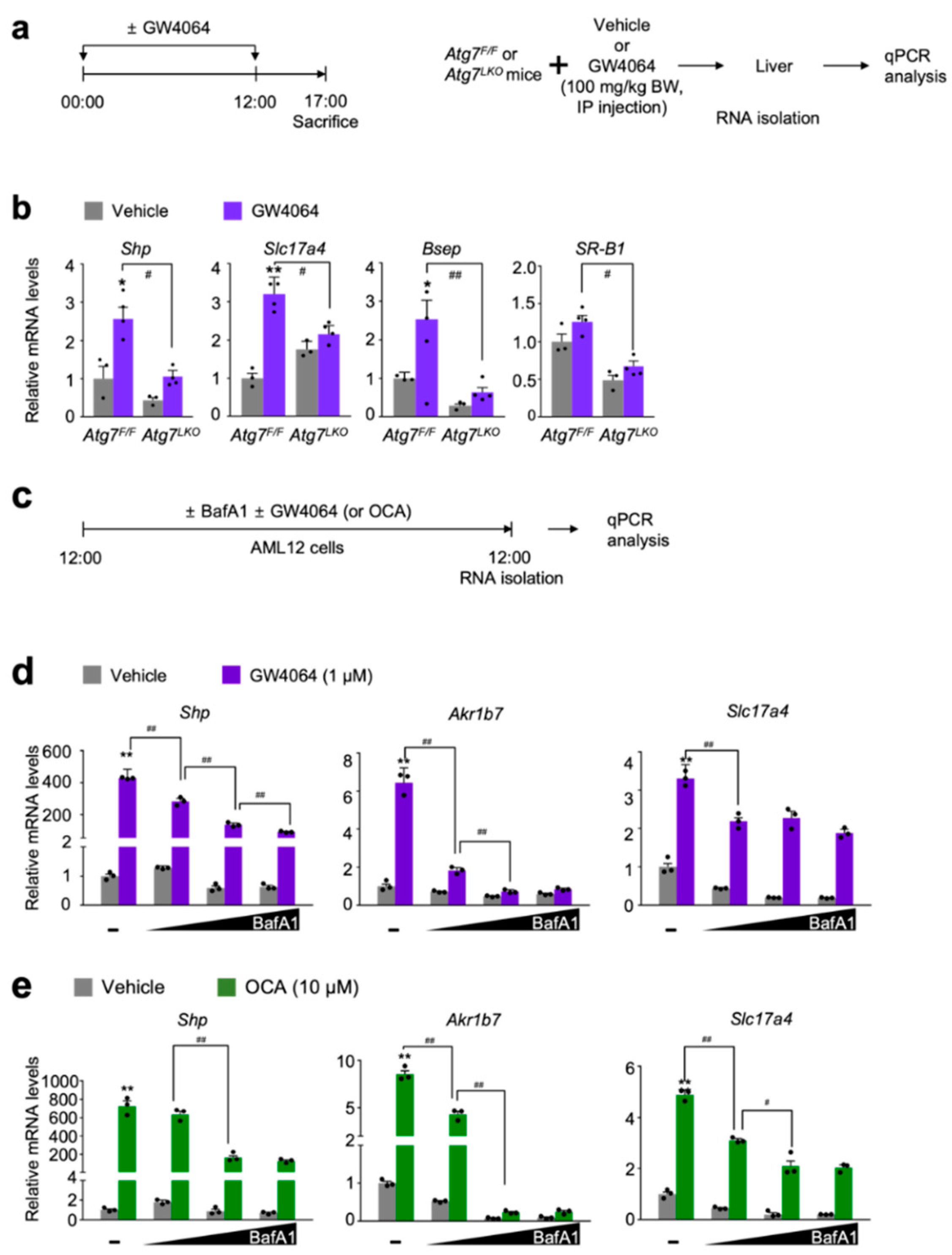 Antioxidants 11 00370 g001 550