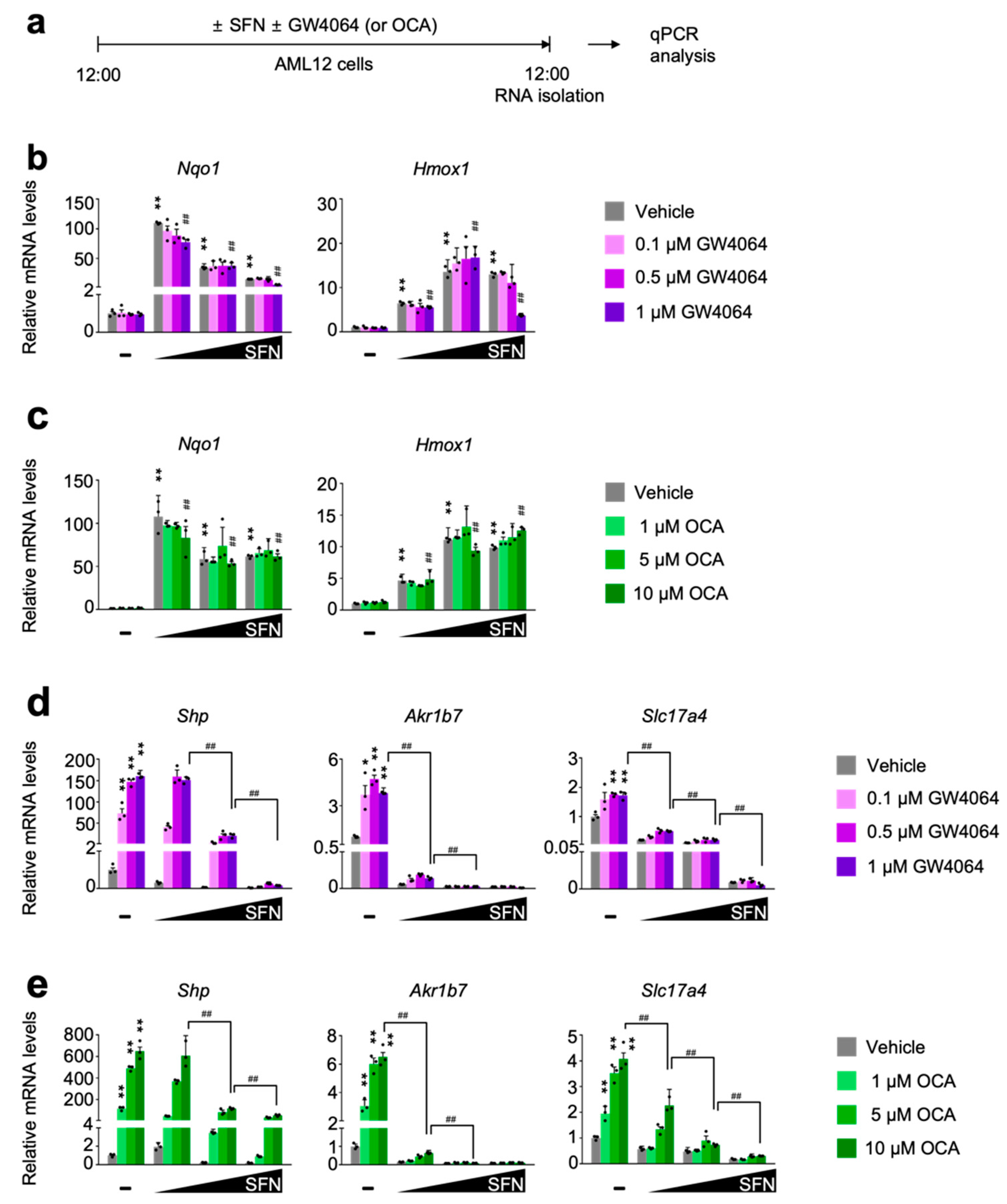 Antioxidants 11 00370 g002 550
