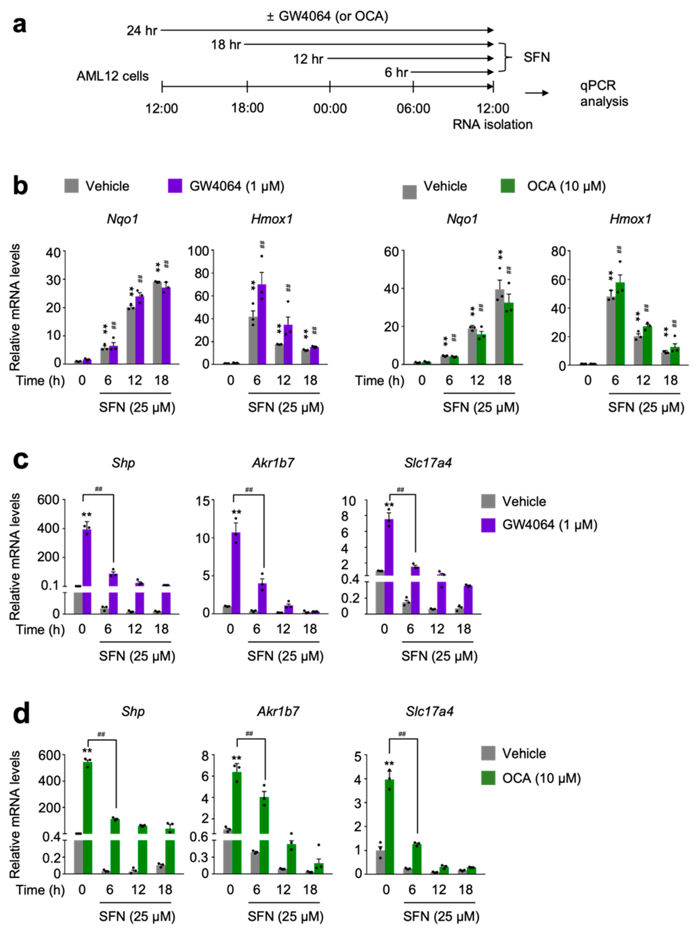 Antioxidants 11 00370 g003 550