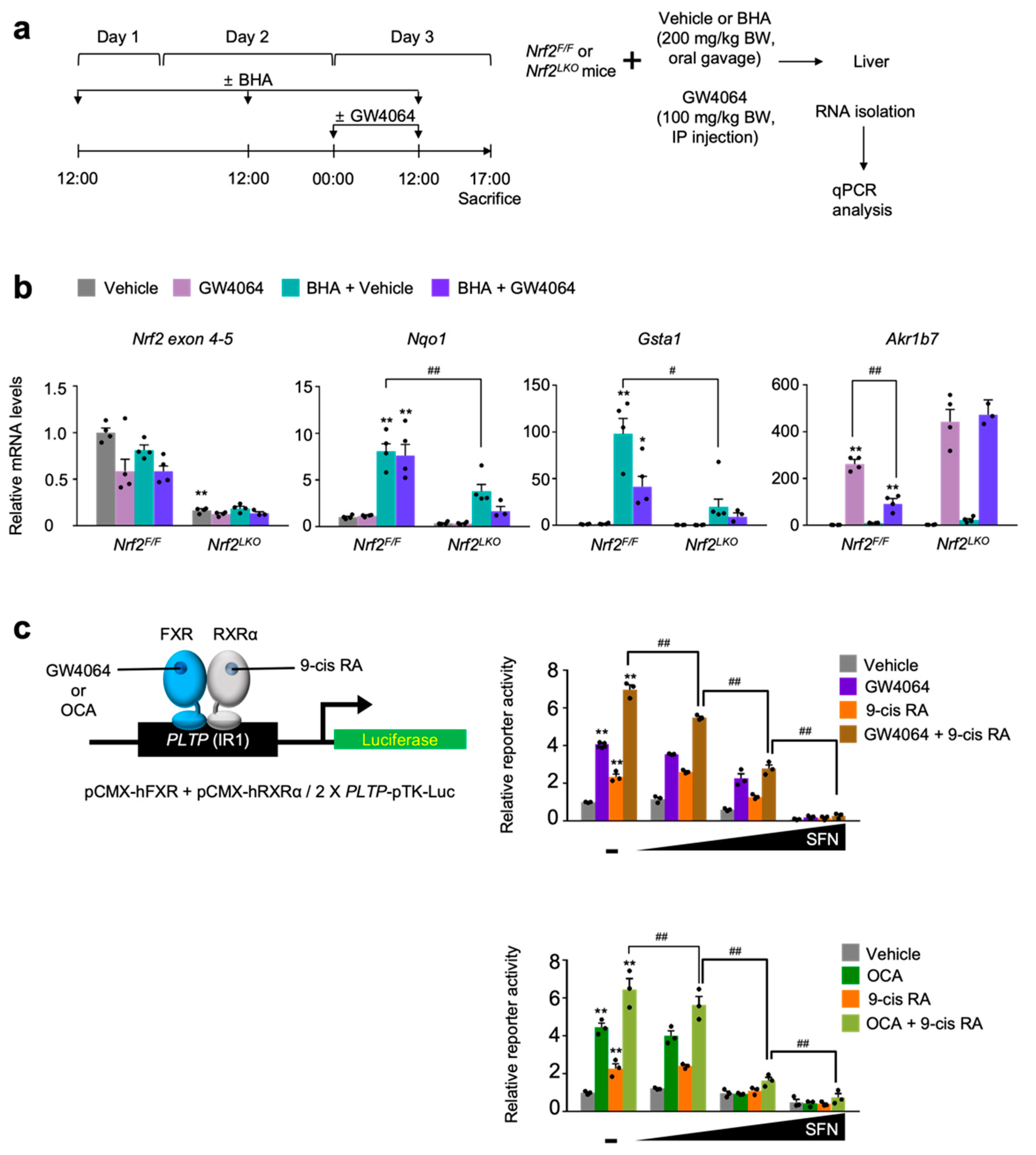 Antioxidants 11 00370 g005 550