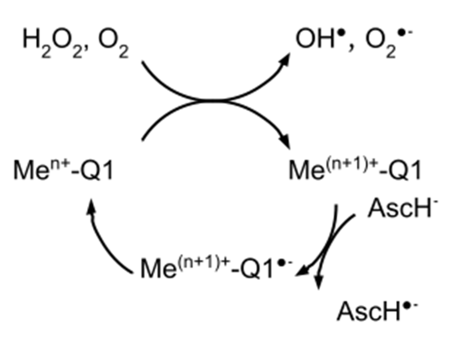 Antioxidants 11 00376 sch002
