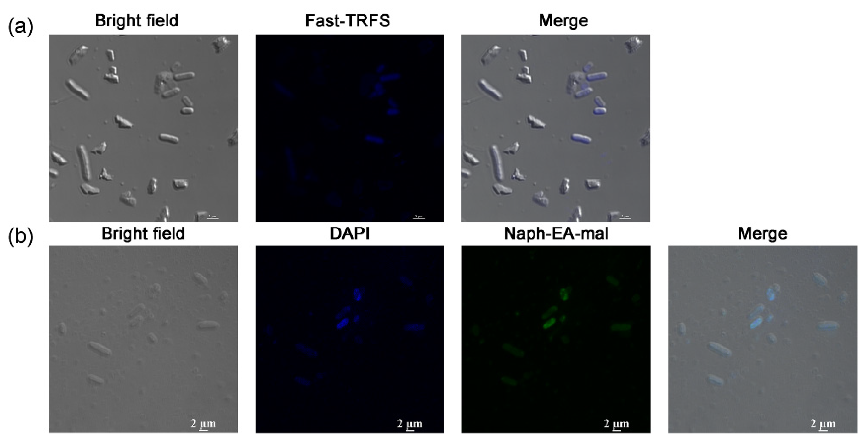 Antioxidants 11 00377 g002 Antioxidants 11 00377 g002