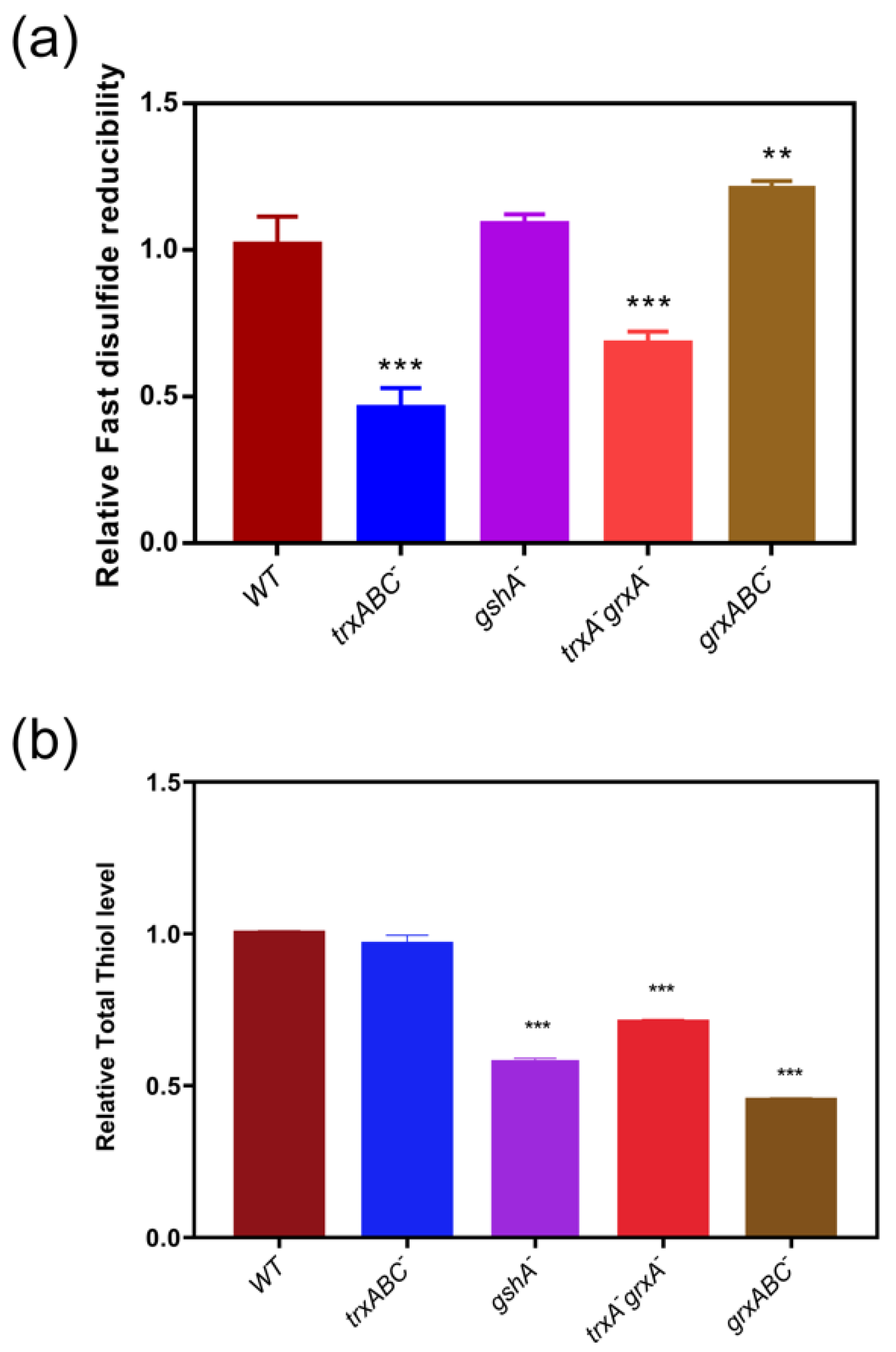 Antioxidants 11 00377 g004 Antioxidants 11 00377 g004