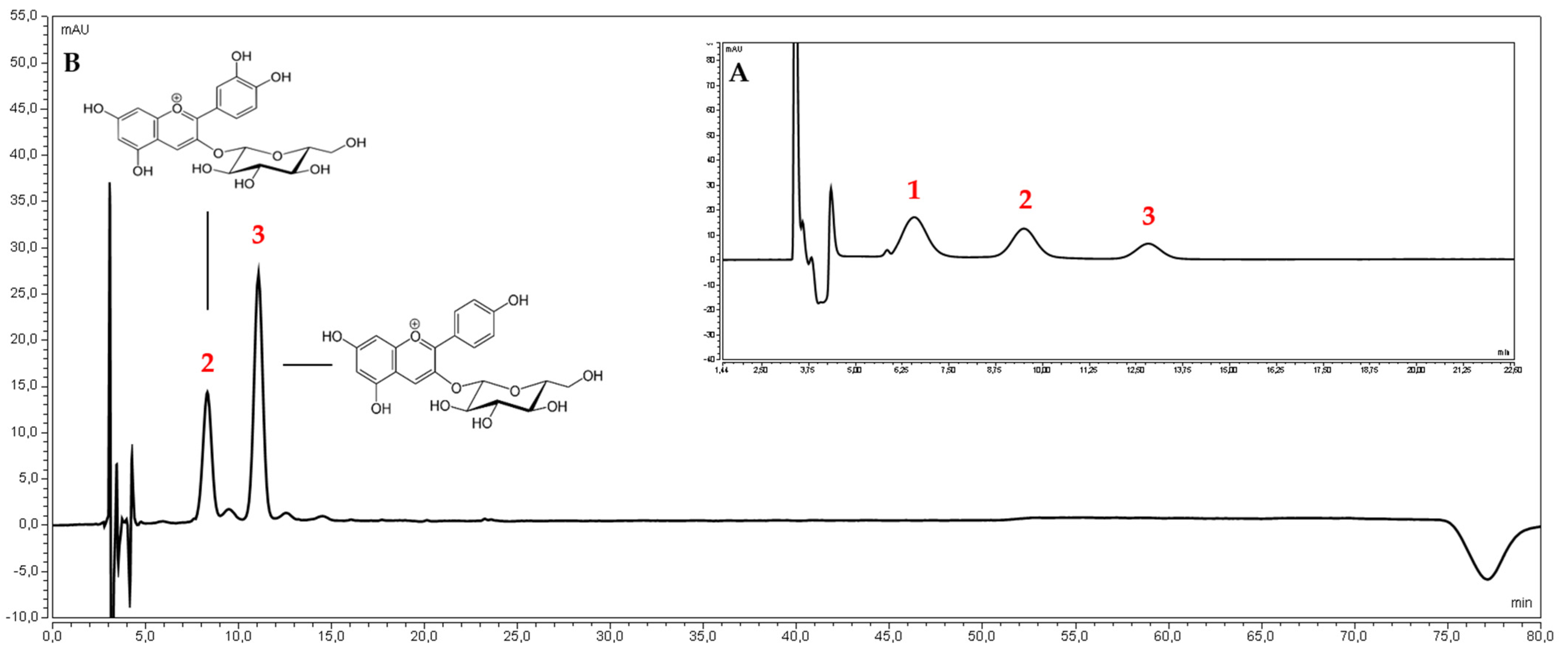Antioxidants 11 00380 g001