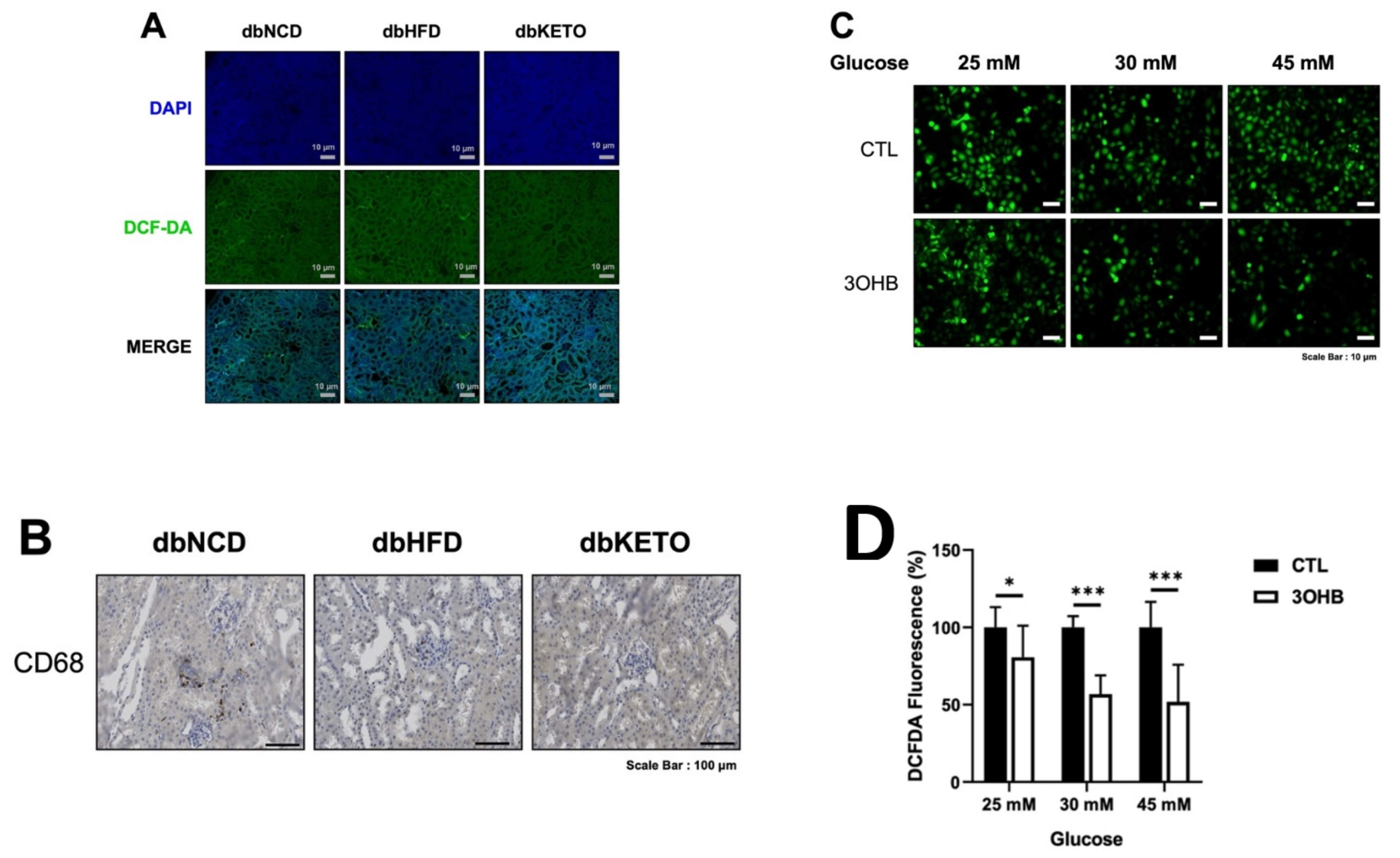 Antioxidants 11 00381 g007