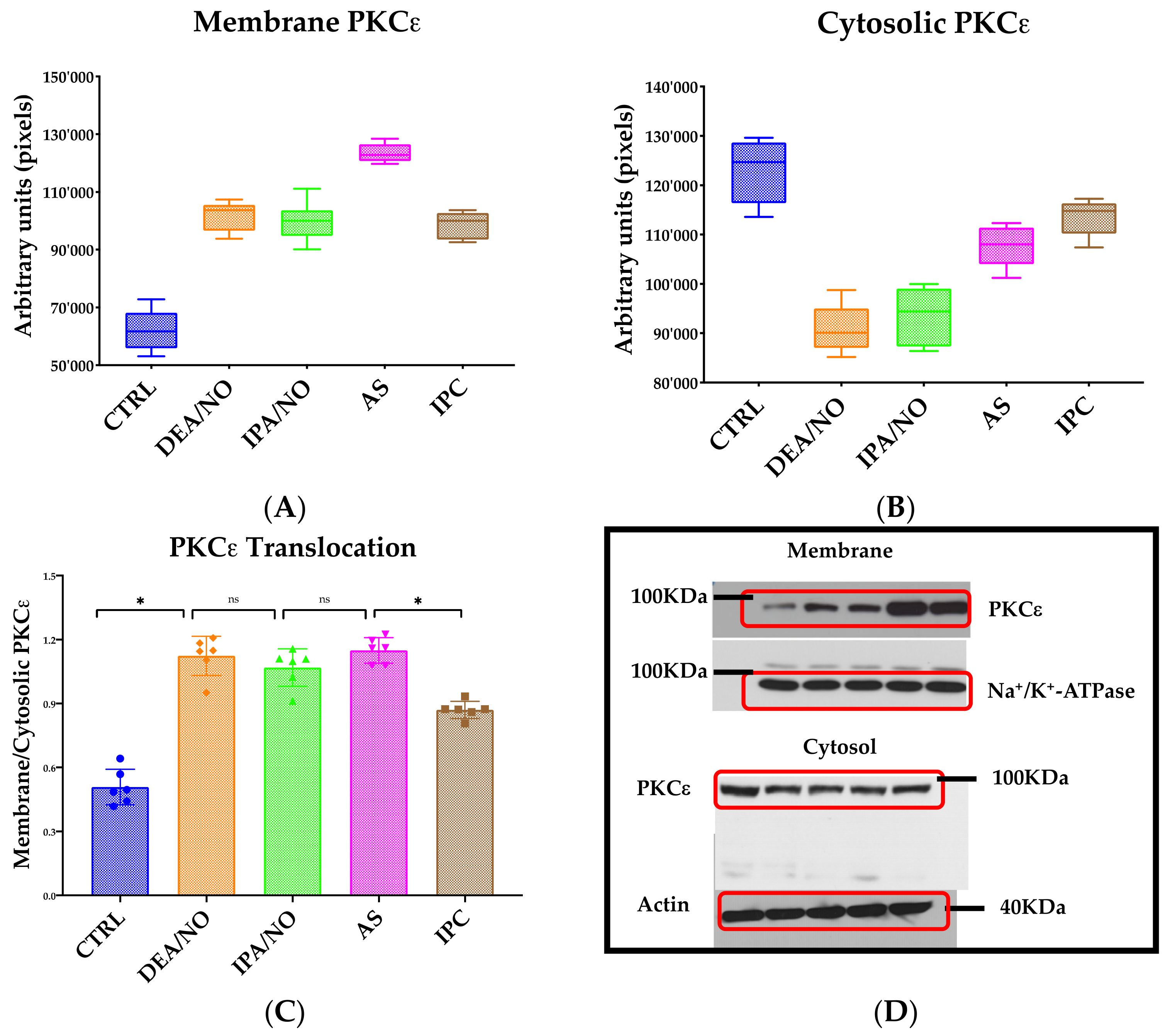 Antioxidants 11 00382 g004
