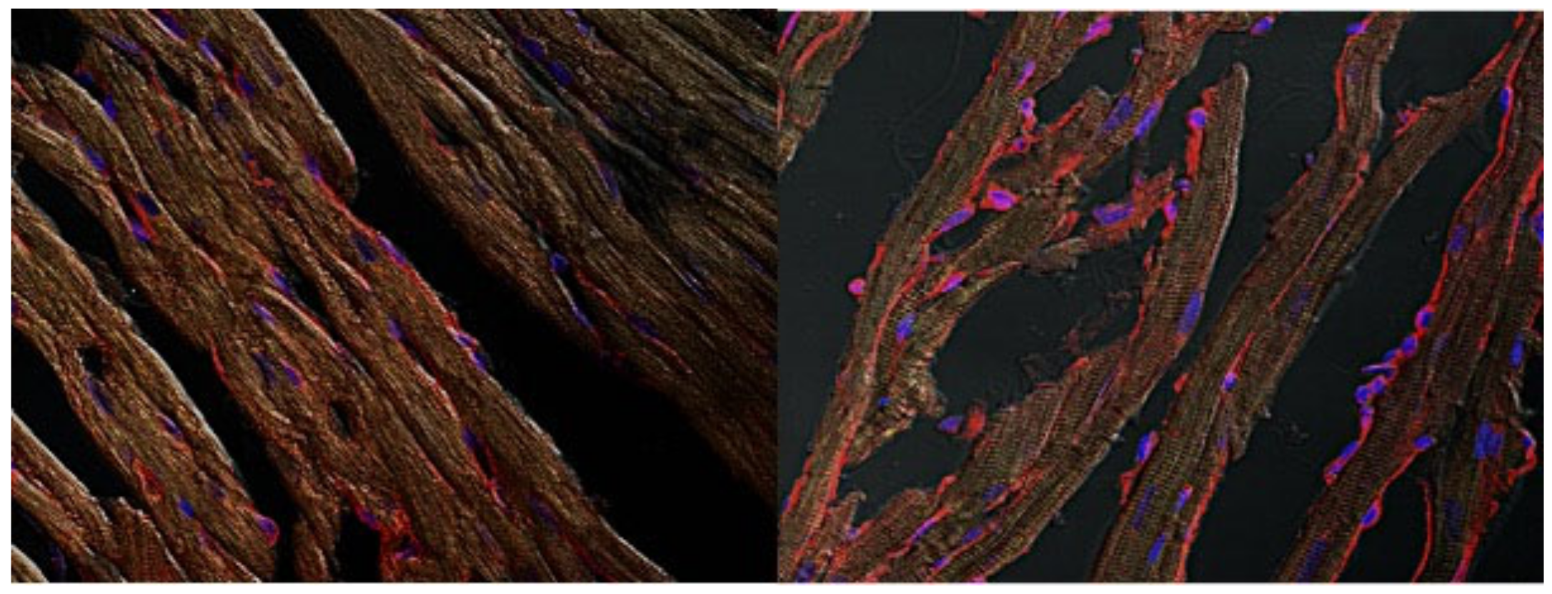 Antioxidants 11 00382 g005