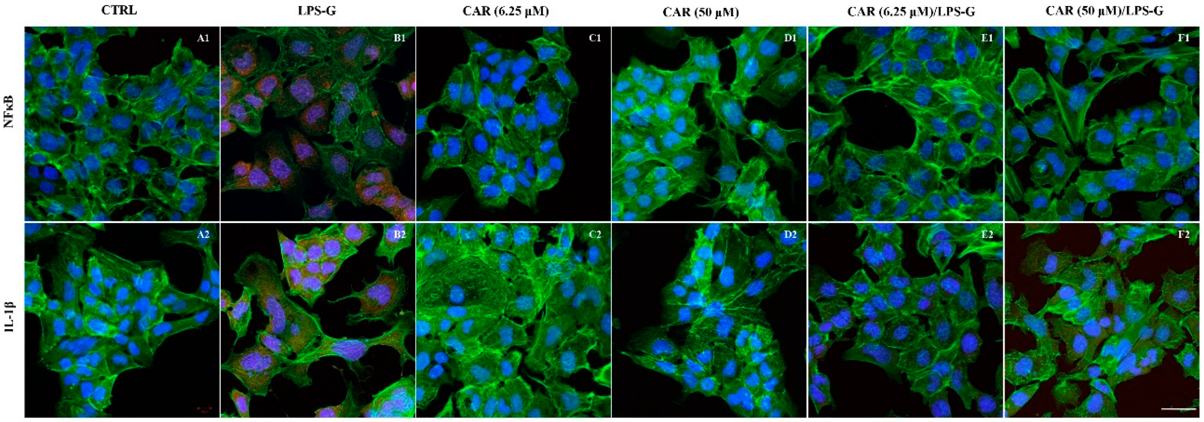 Antioxidants 11 00386 g005 550