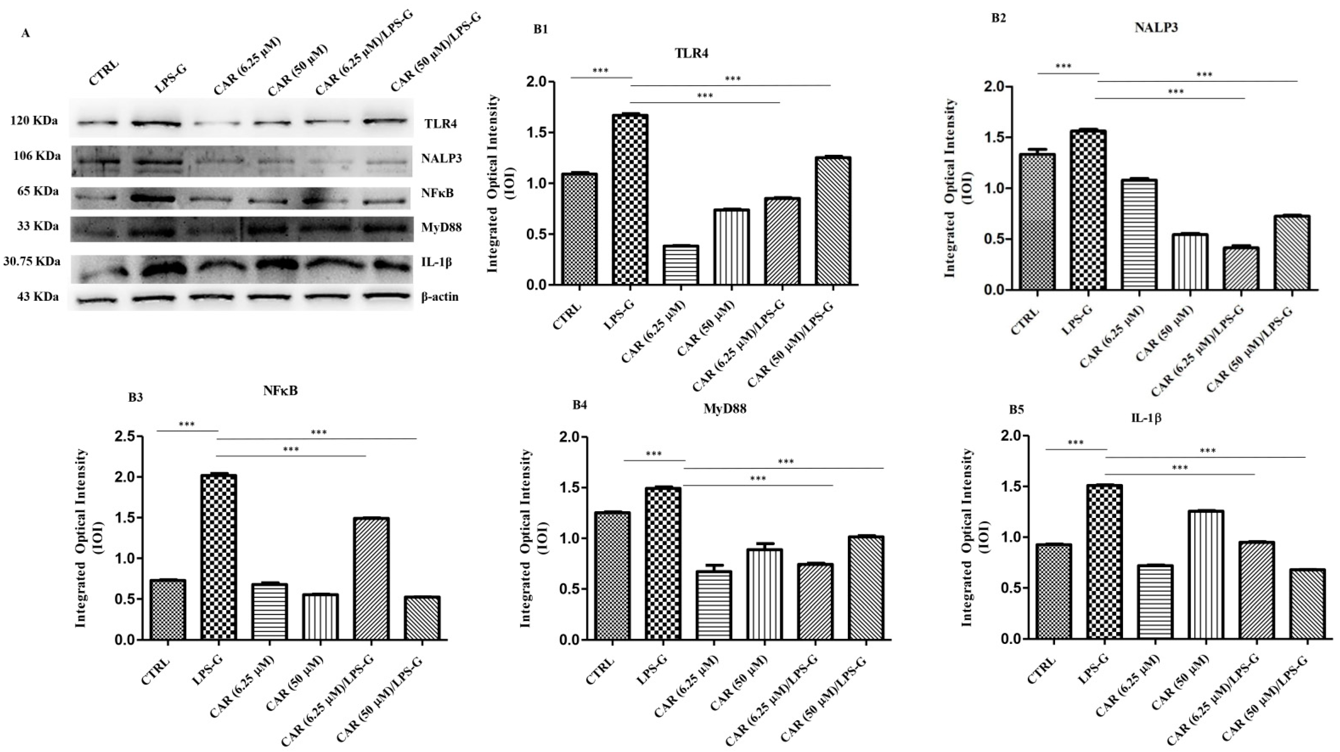 Antioxidants 11 00386 g006 550
