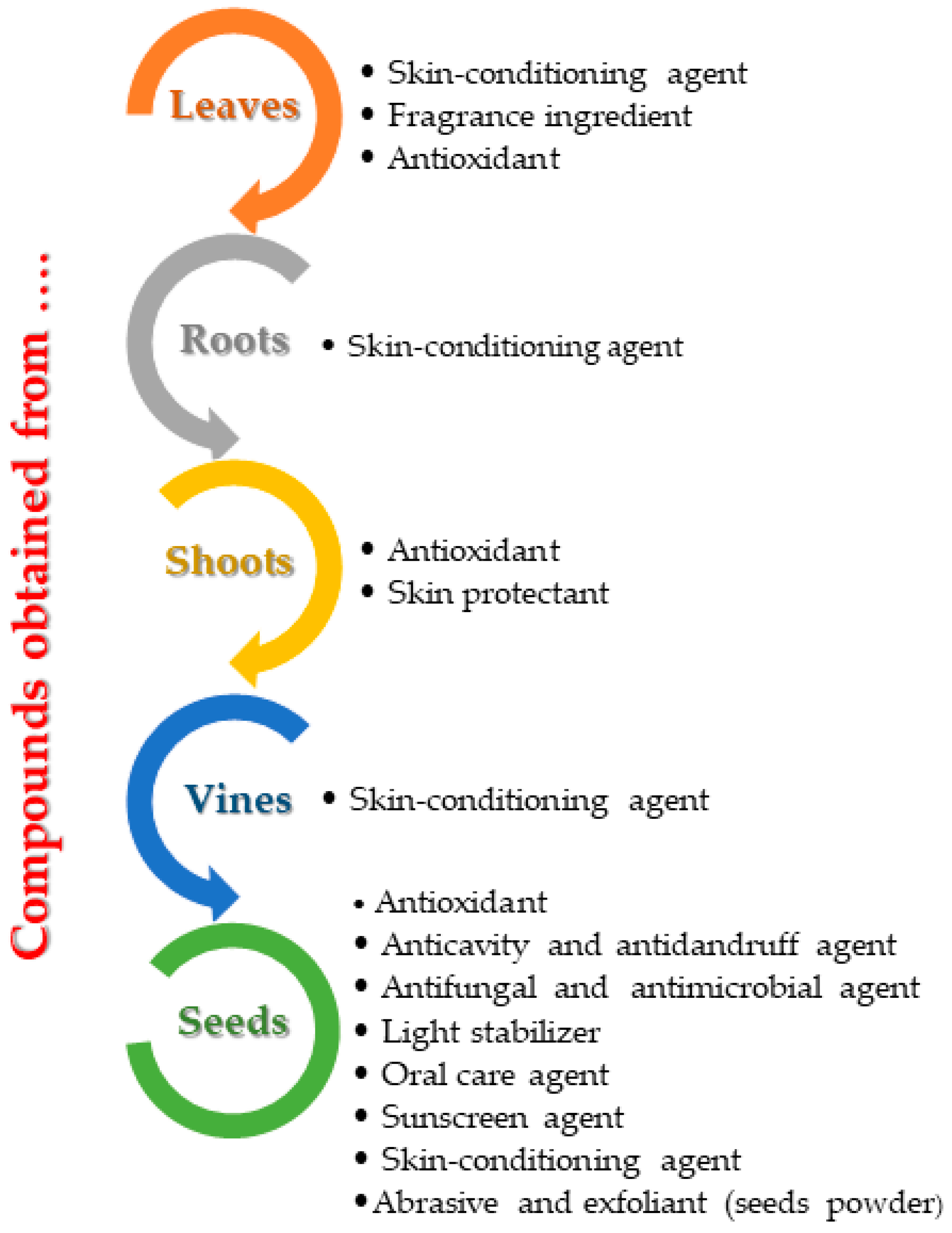 Antioxidants 11 00393 g004