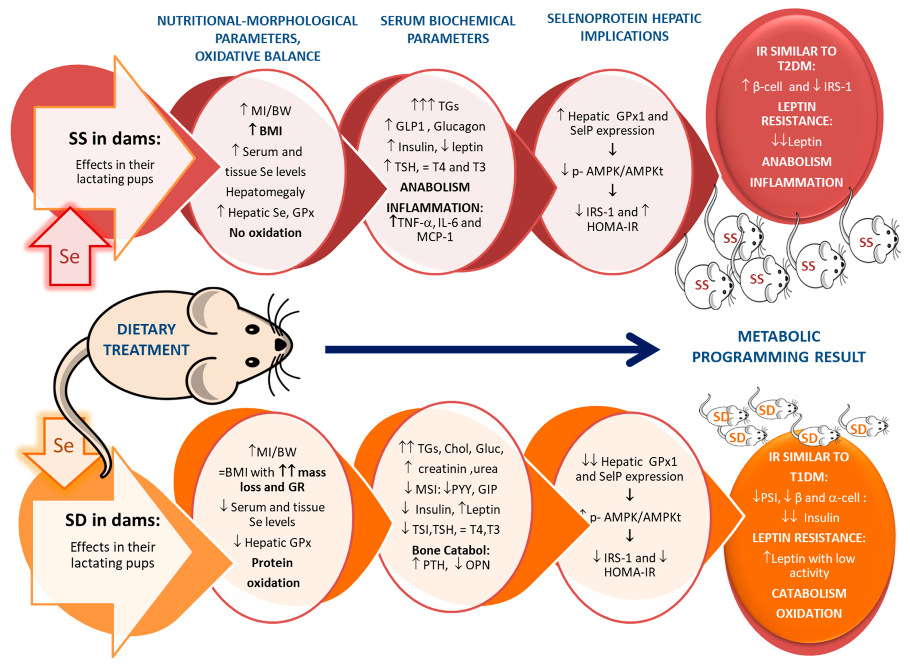 Antioxidants 11 00394 g003 Antioxidants 11 00394 g003