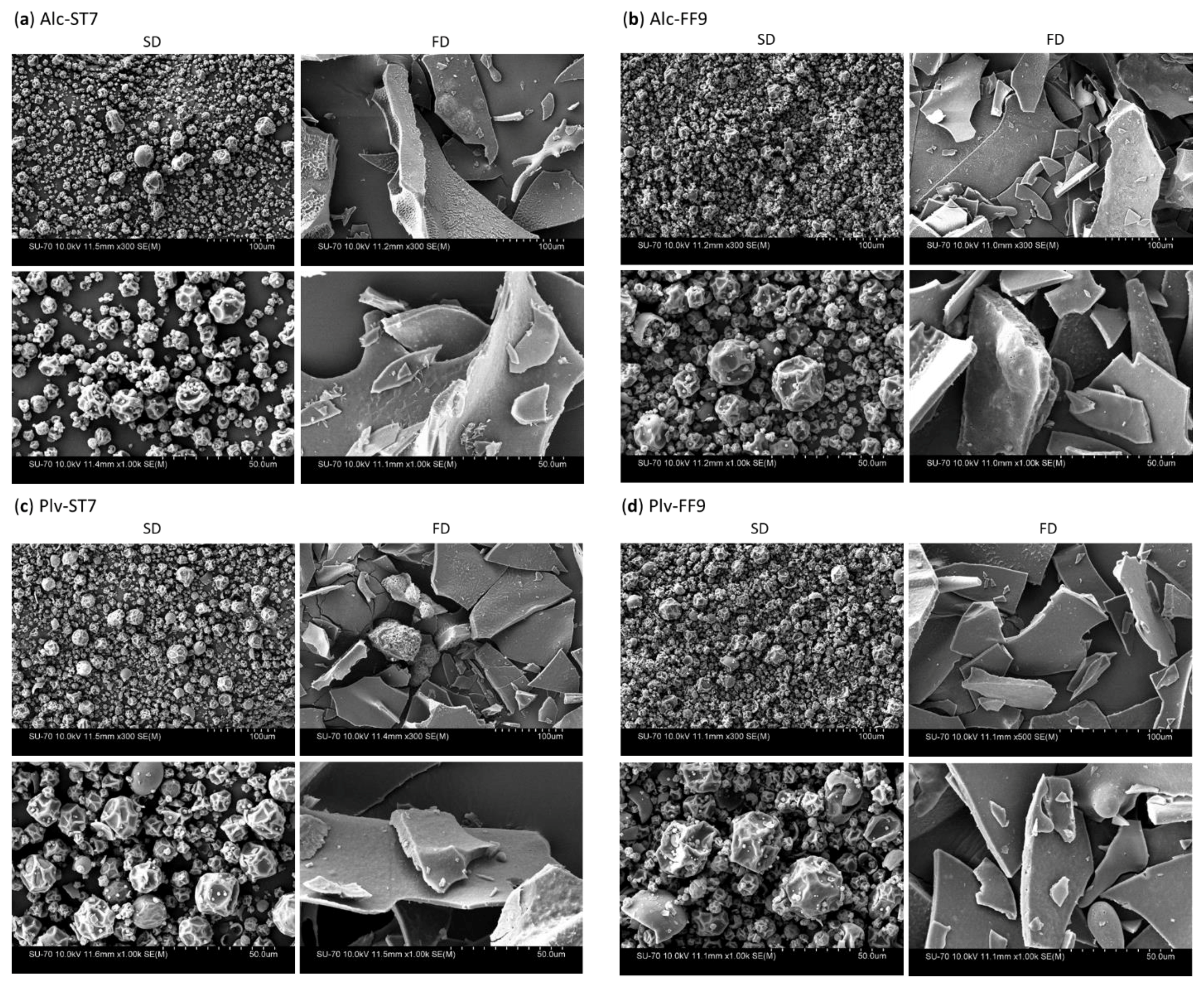 Antioxidants 11 00399 g002