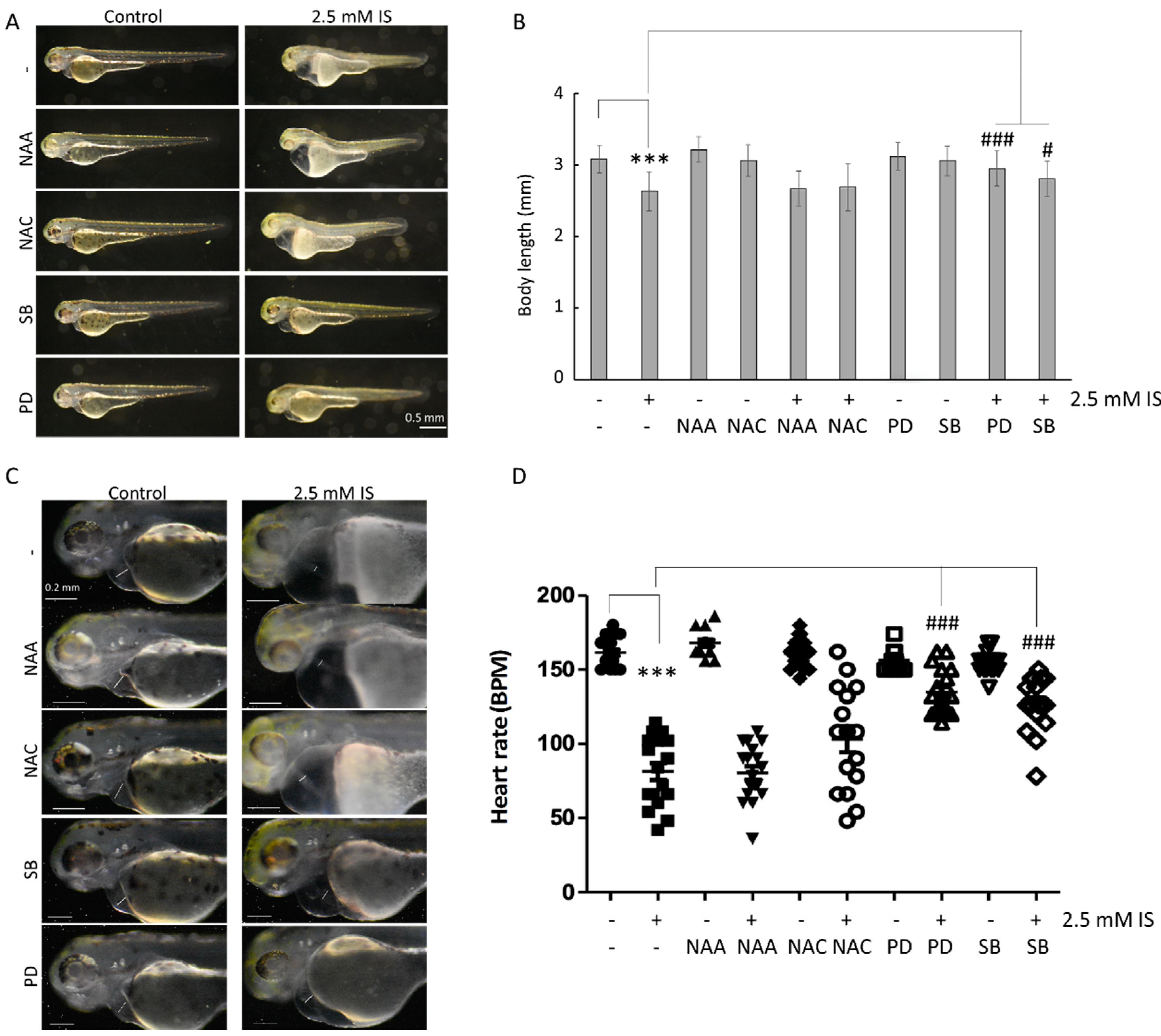 Antioxidants 11 00400 g005