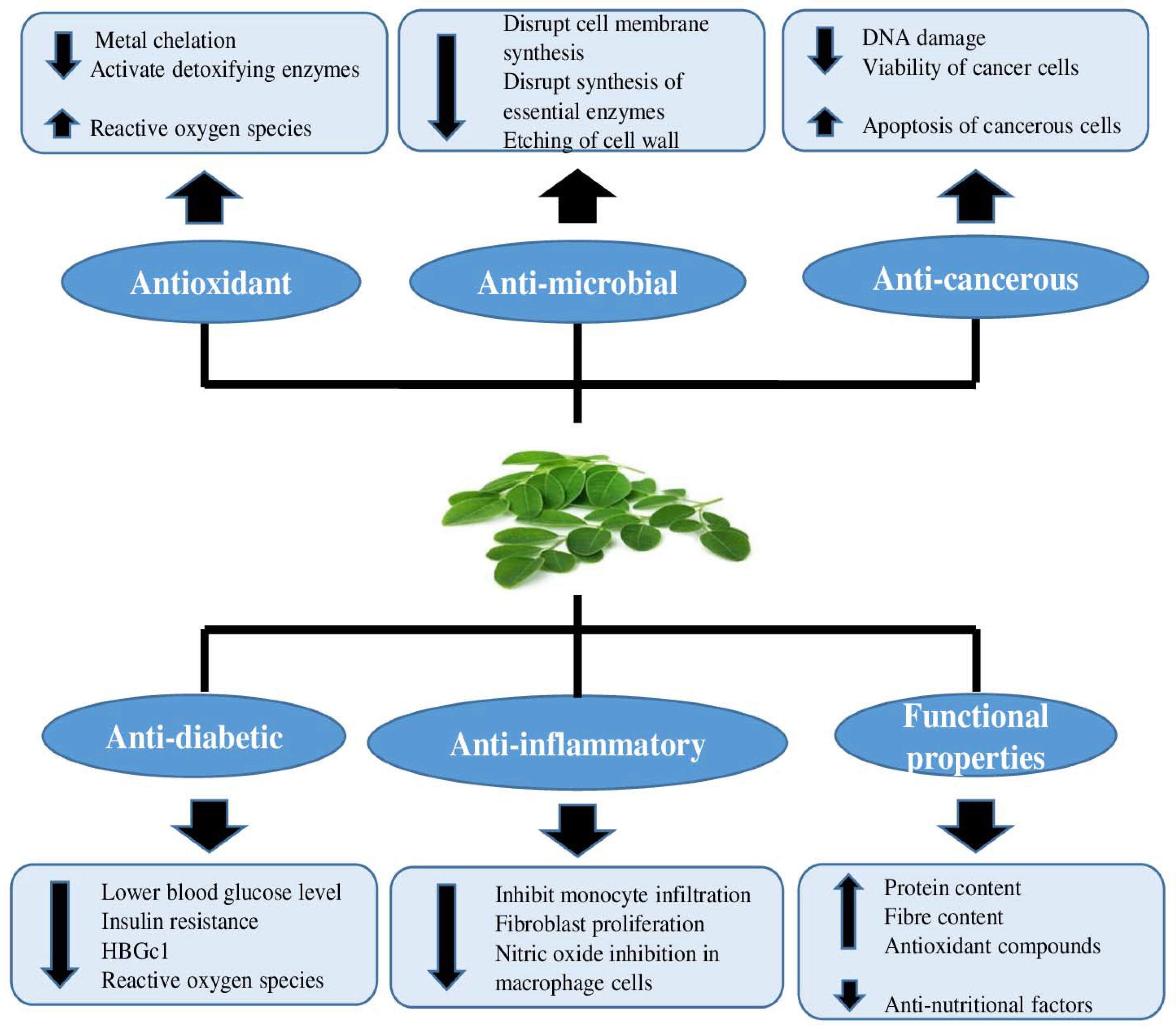 Antioxidants 11 00402 g002