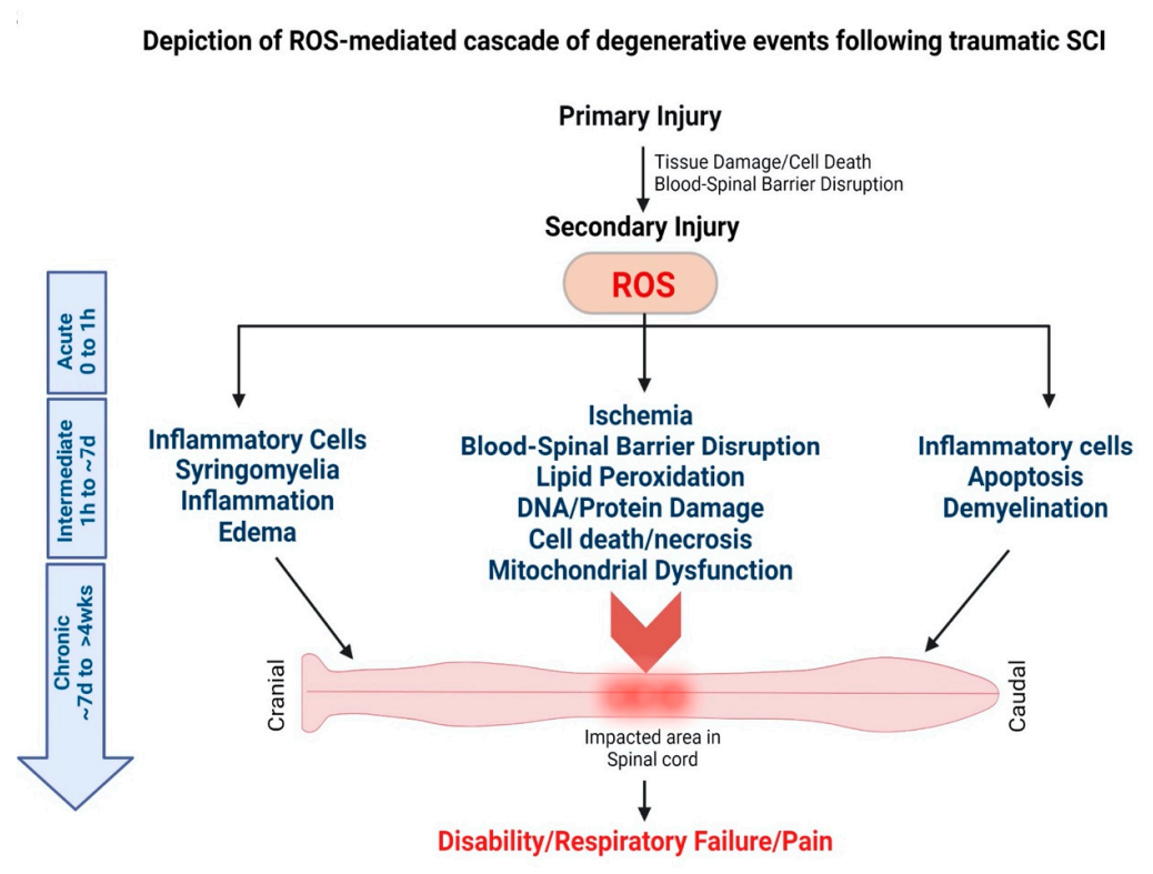 Antioxidants 11 00408 g003 550