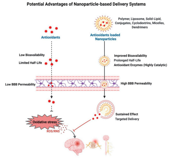 Antioxidants | Free Full-Text | Antioxidant Therapy in Oxidative Stress