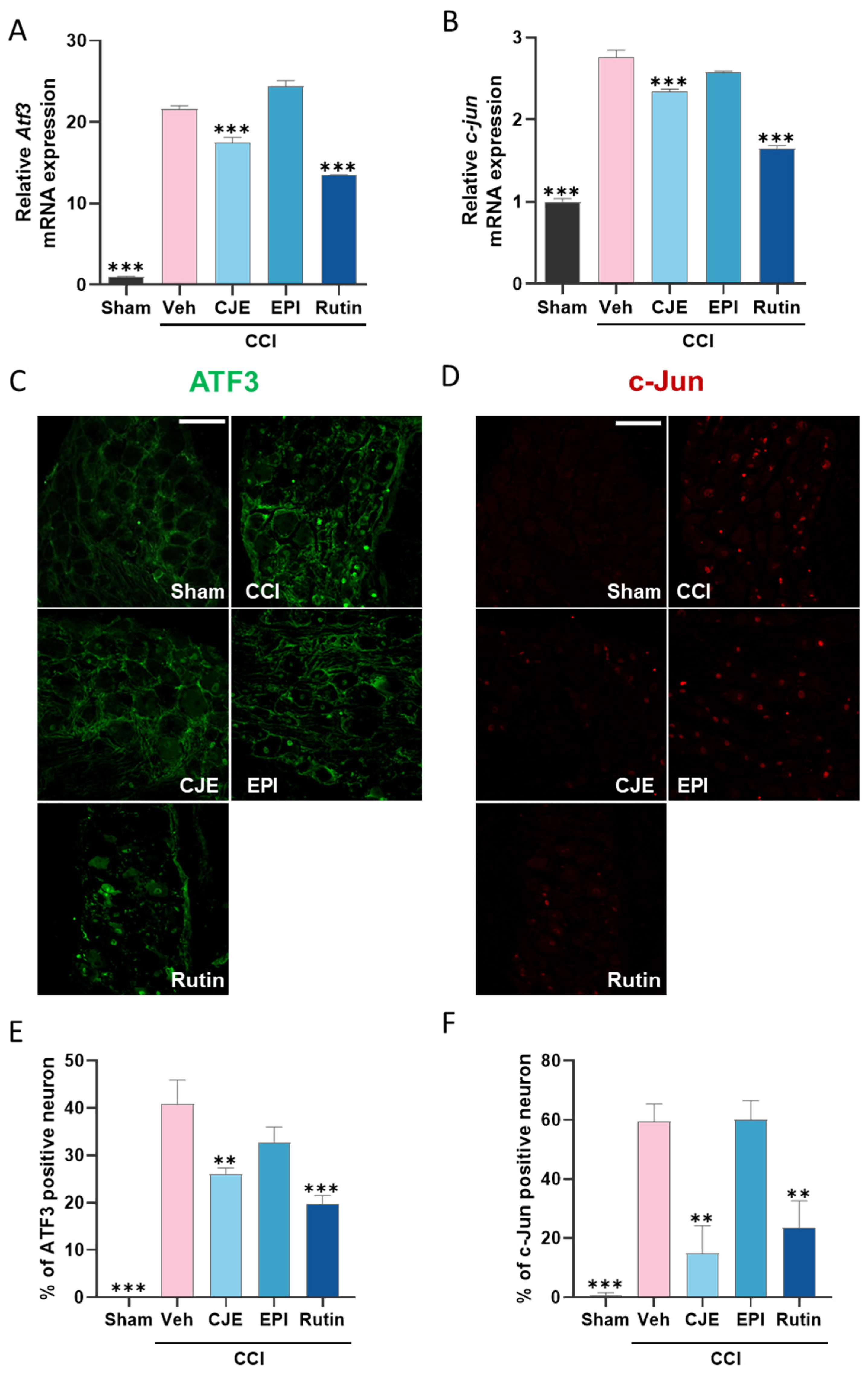 Antioxidants 11 00410 g005 550