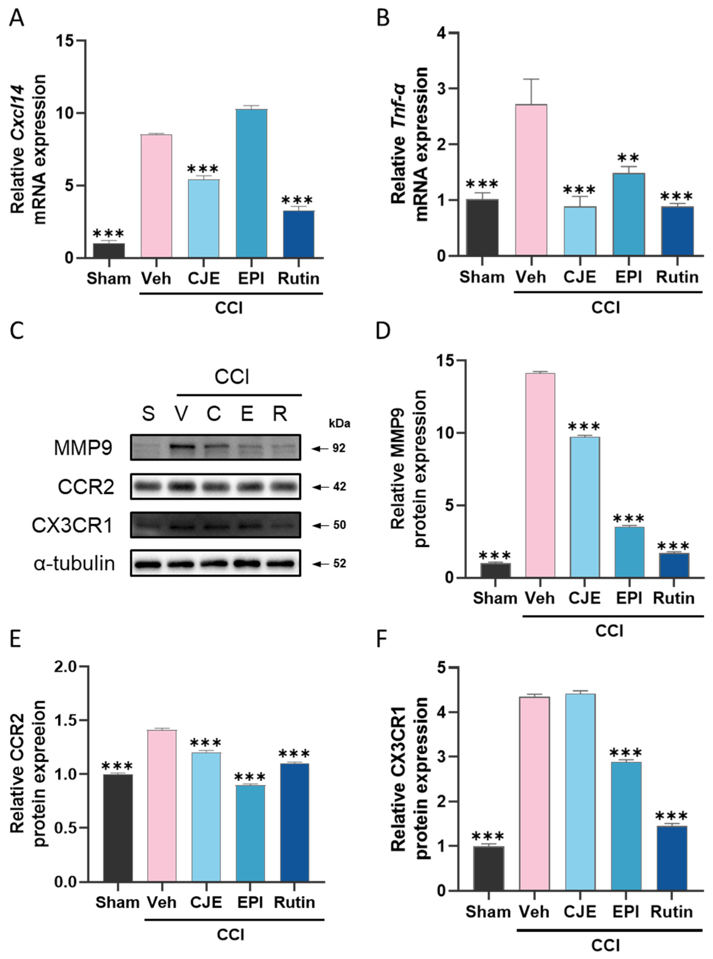 Antioxidants 11 00410 g006 550