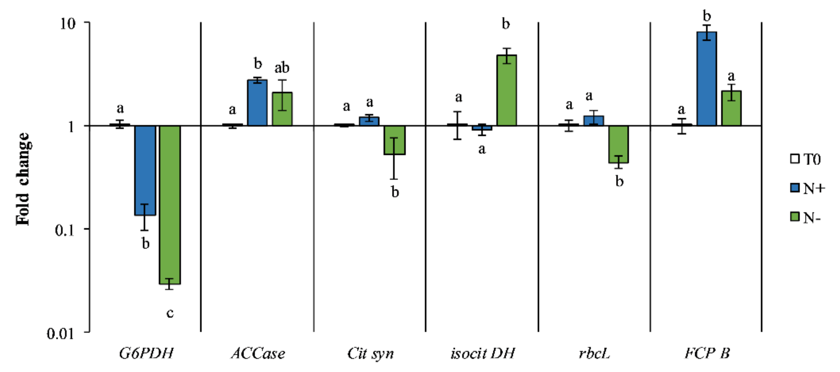 Antioxidants 11 00411 g009 Antioxidants 11 00411 g009