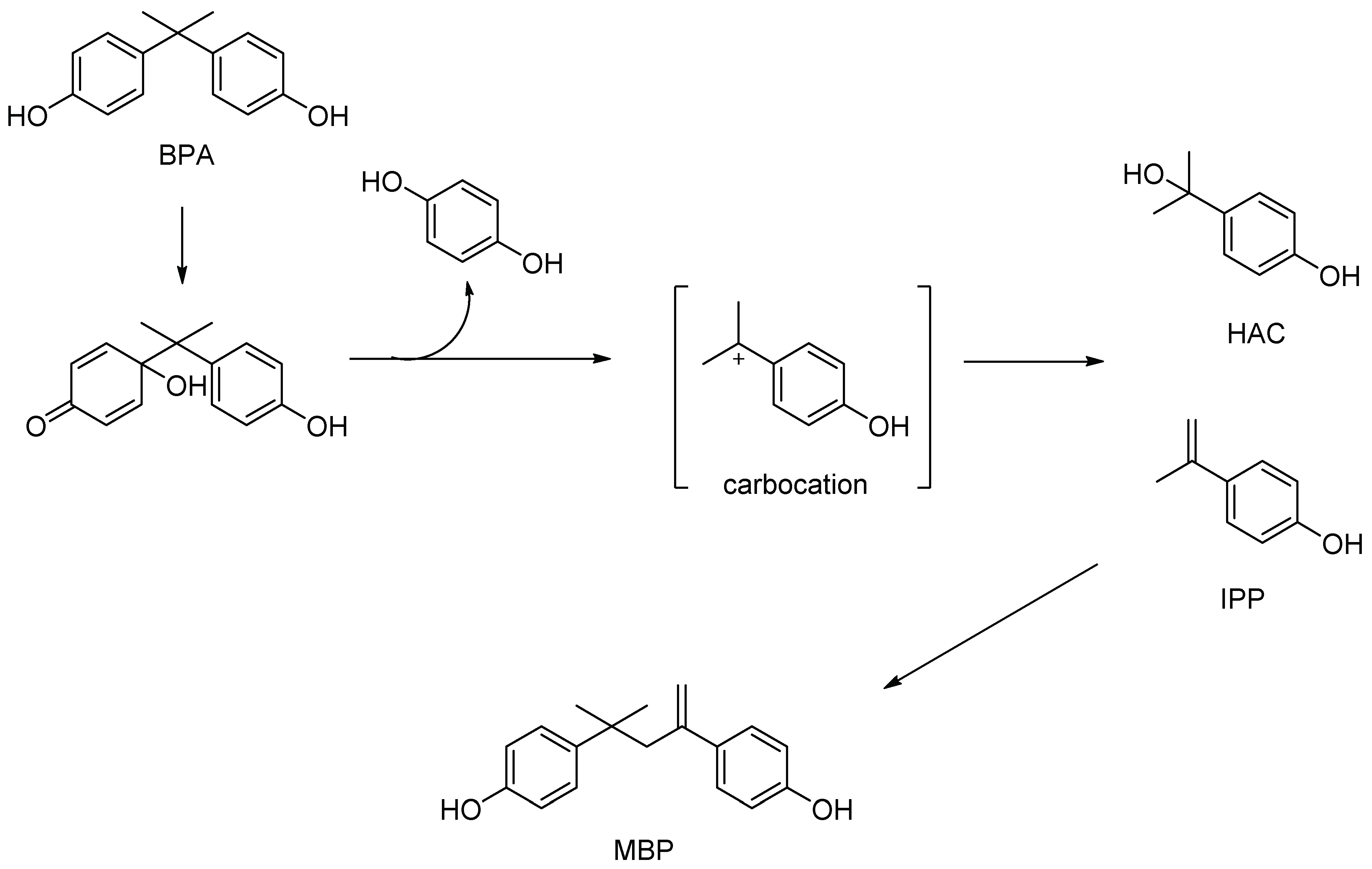 Antioxidants 11 00413 g002 Antioxidants 11 00413 g002