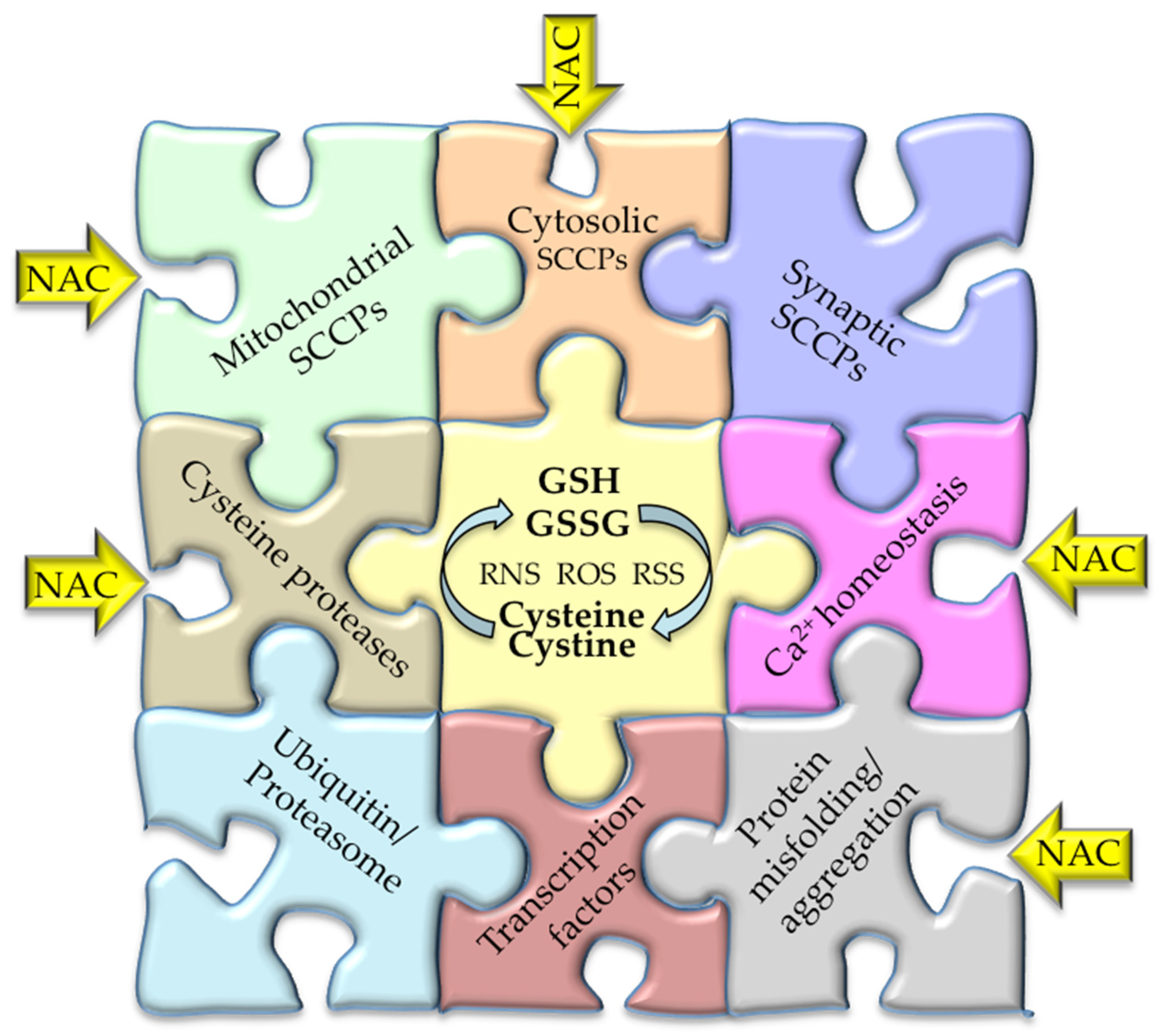 Antioxidants 11 00416 g004
