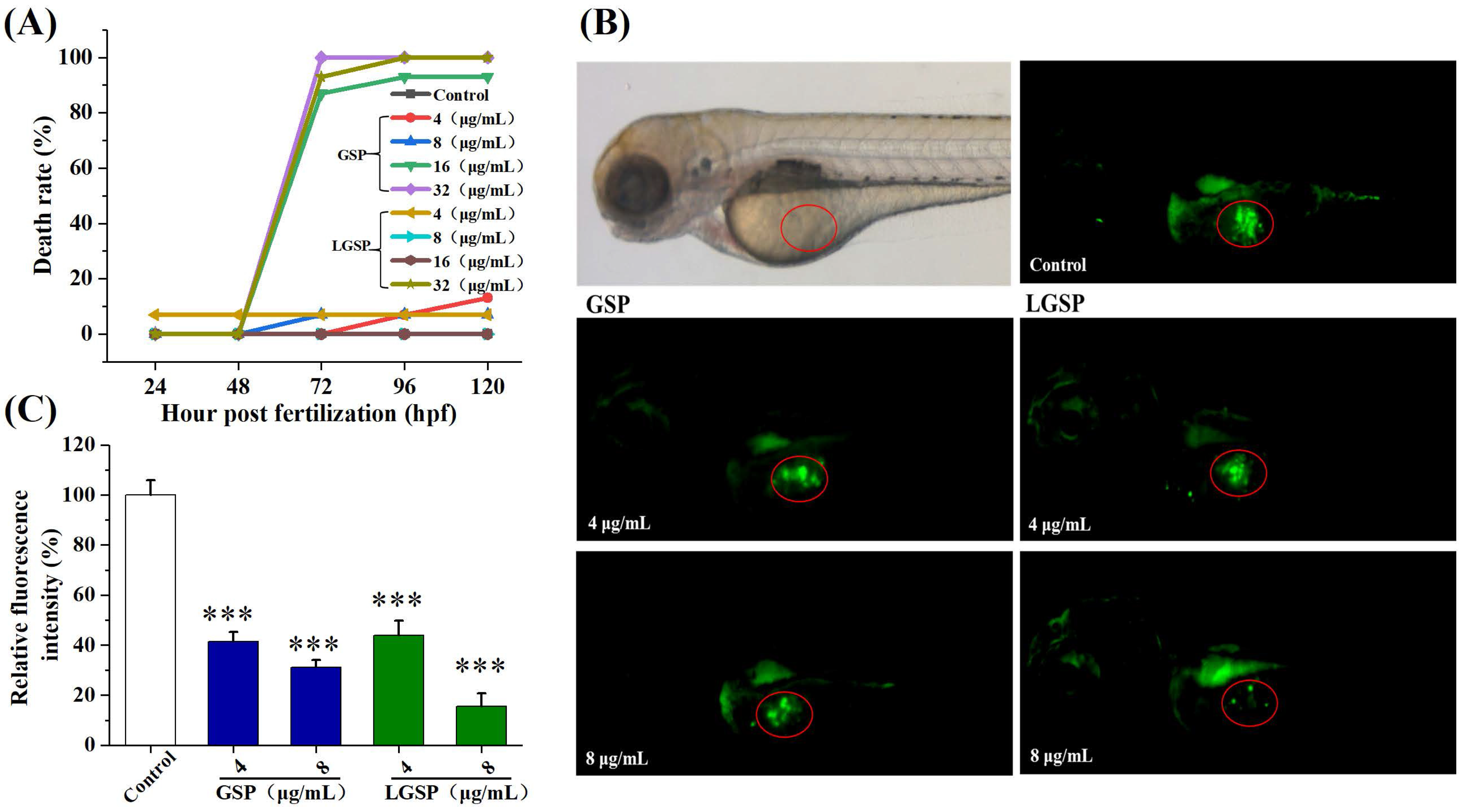 Antioxidants 11 00422 g006 550