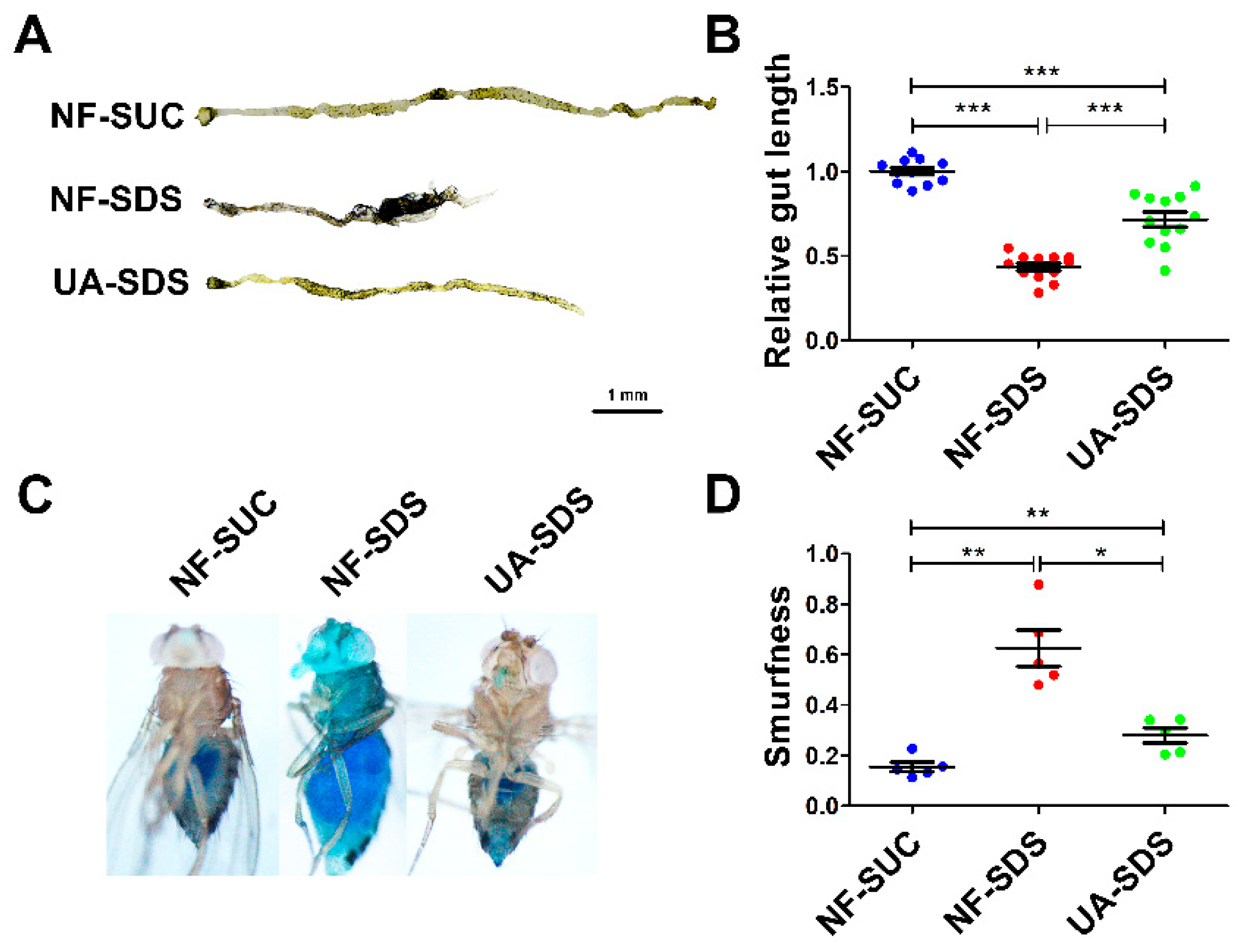 Antioxidants 11 00426 g002