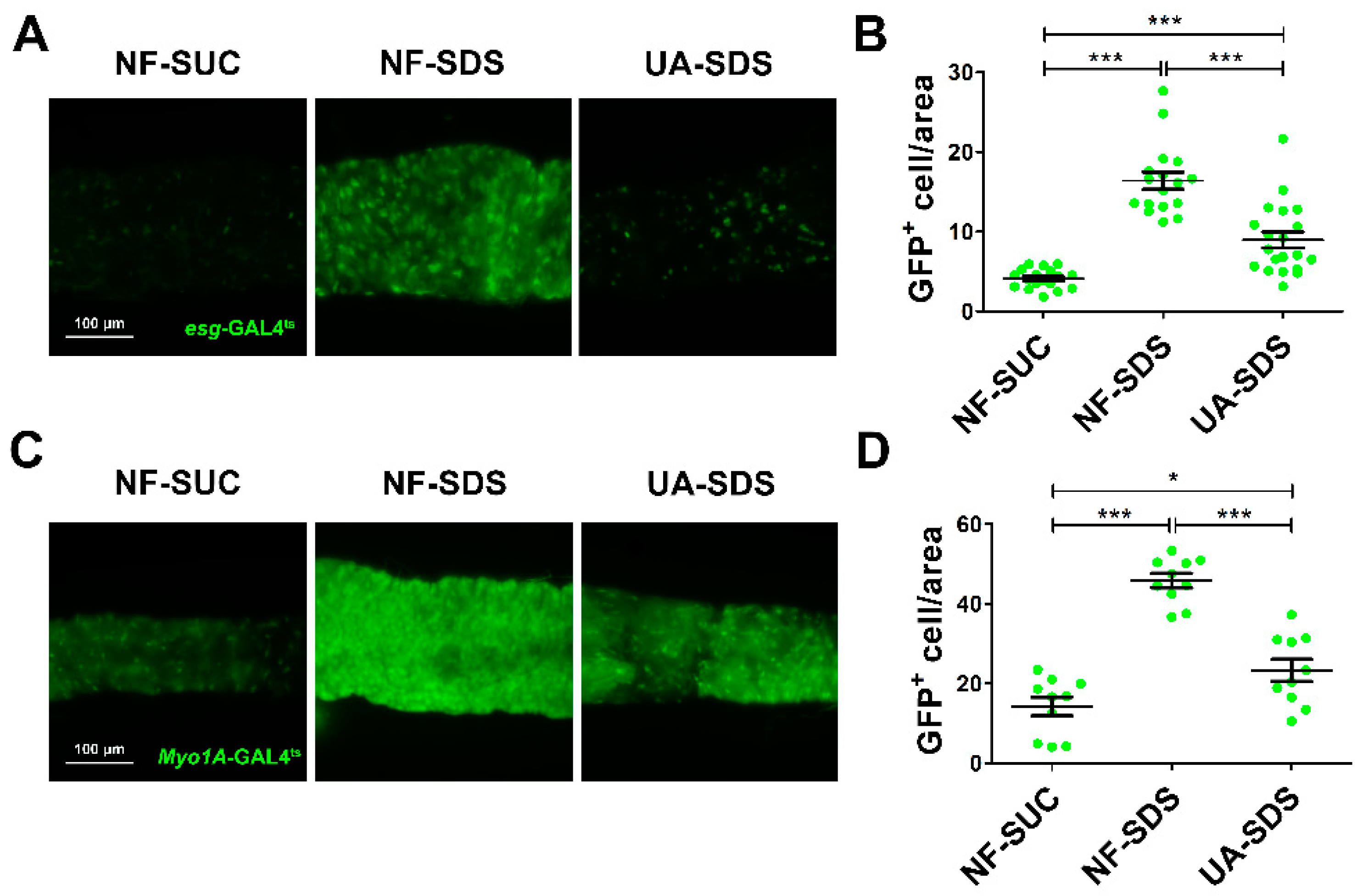 Antioxidants 11 00426 g003