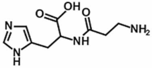 Antioxidants 11 00430 i006