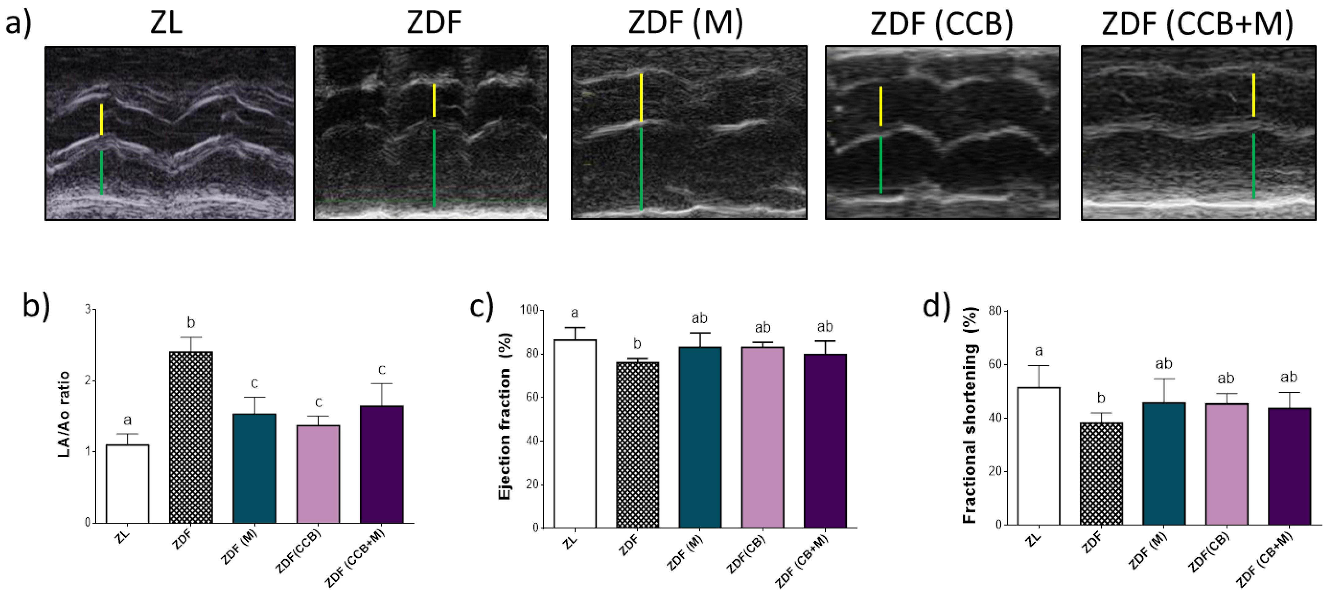 Antioxidants 11 00432 g002 550