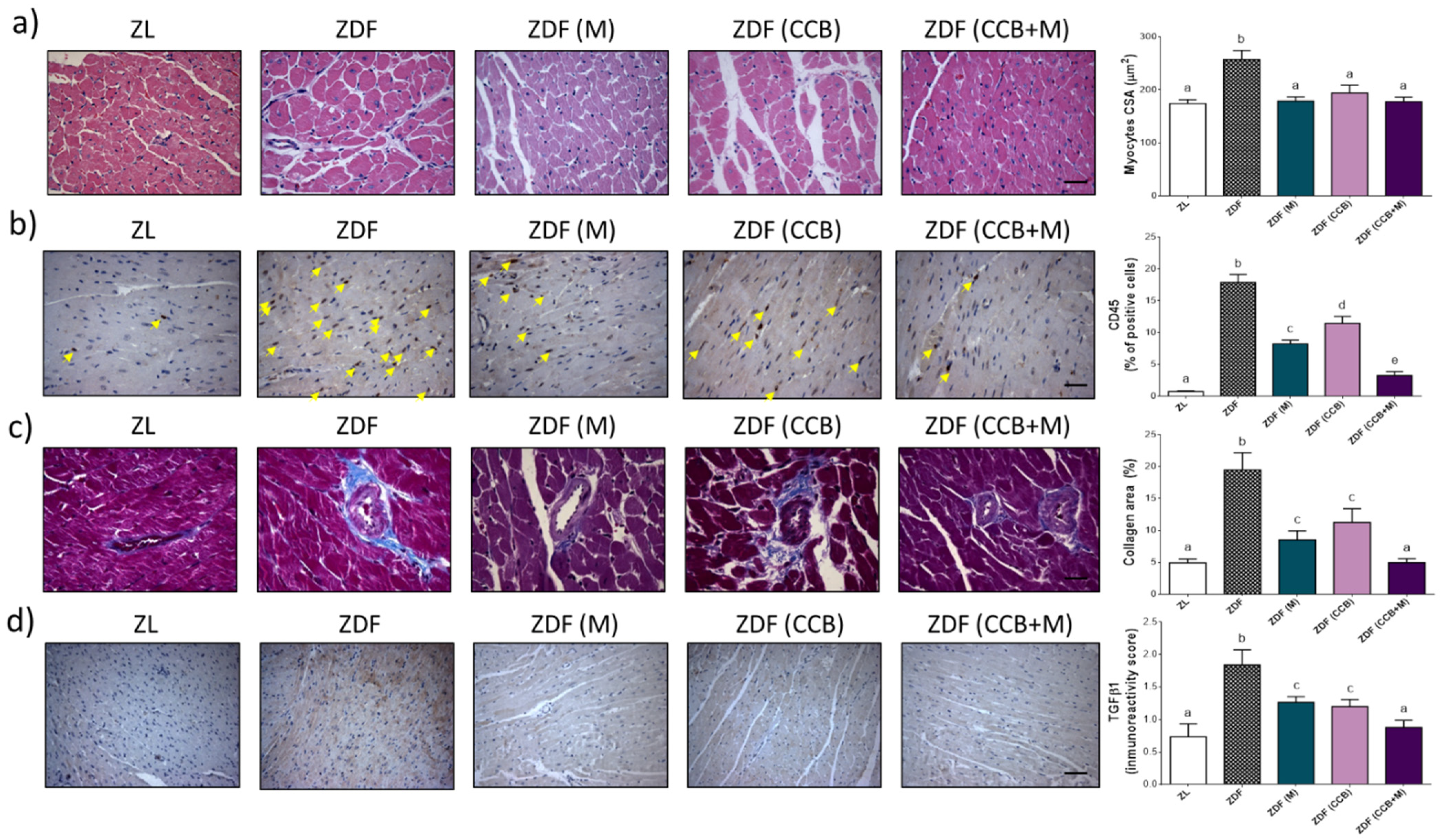 Antioxidants 11 00432 g003 550