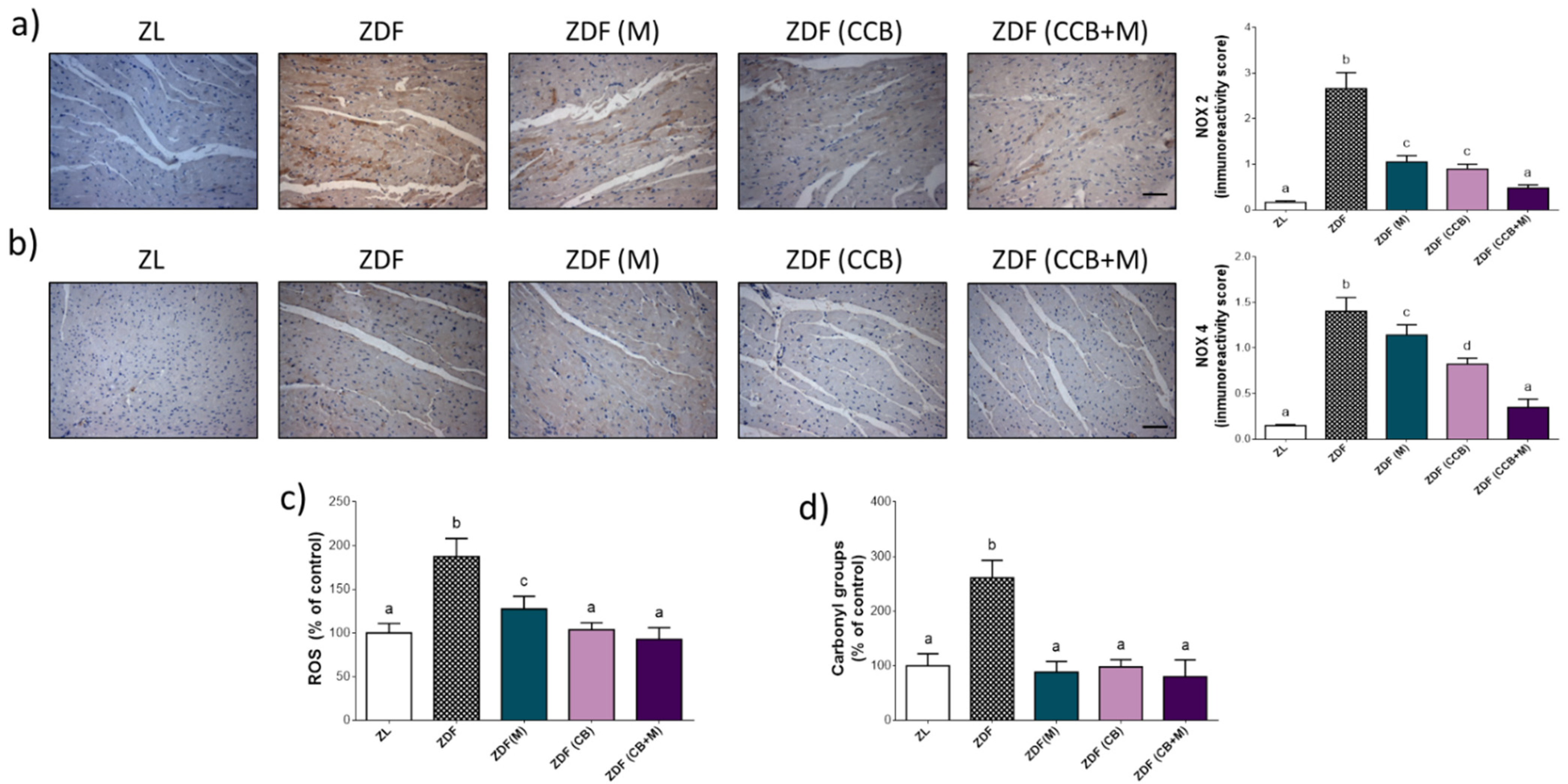 Antioxidants 11 00432 g004 550