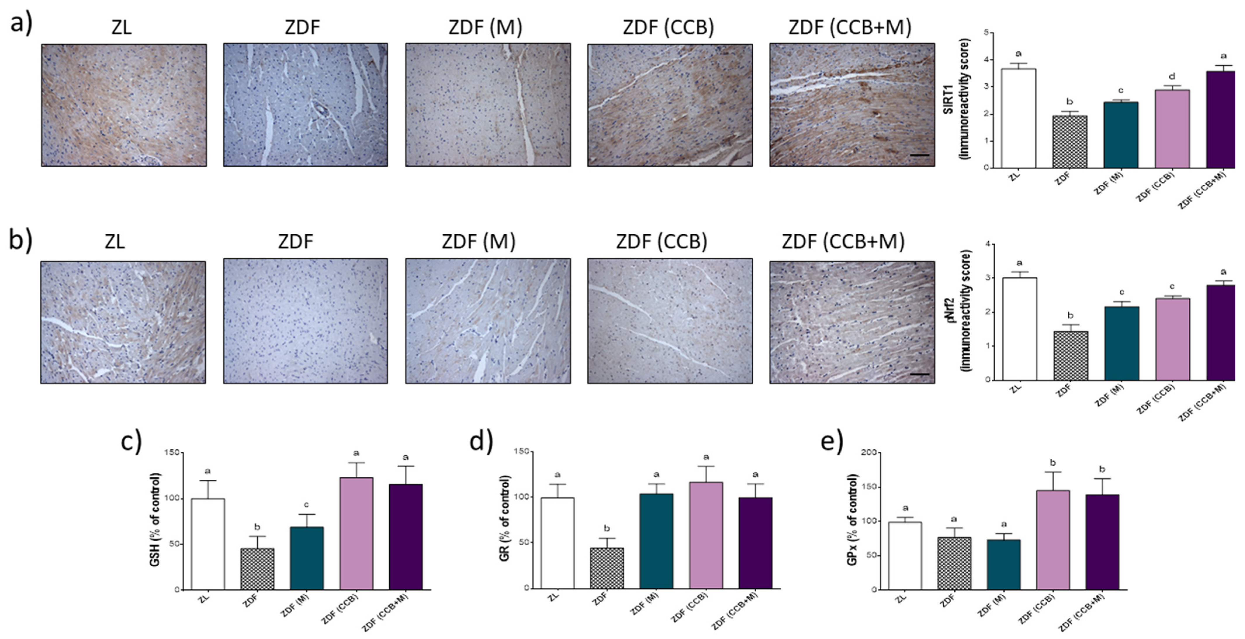 Antioxidants 11 00432 g005 550
