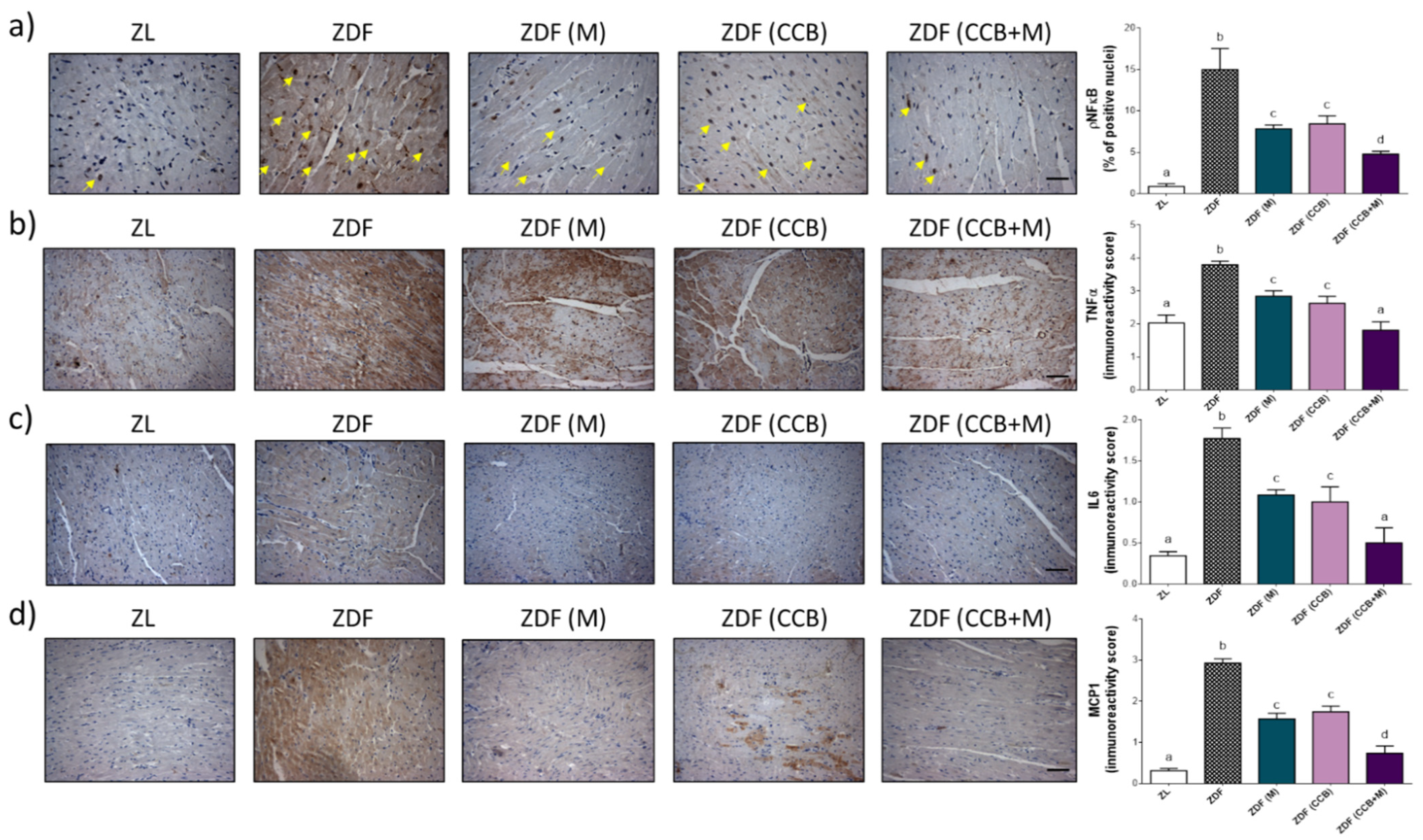 Antioxidants 11 00432 g006 550