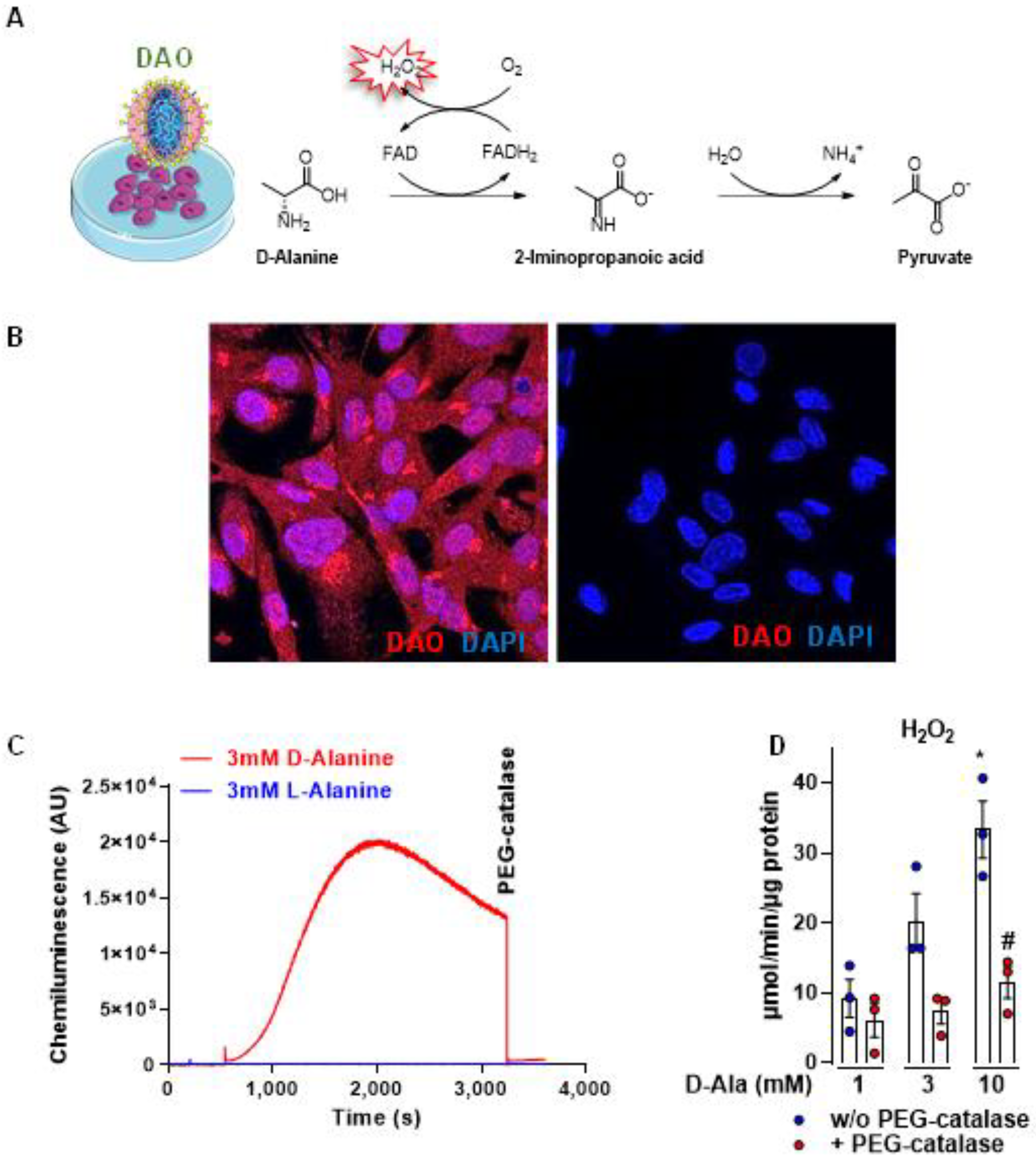 Antioxidants 11 00434 g001