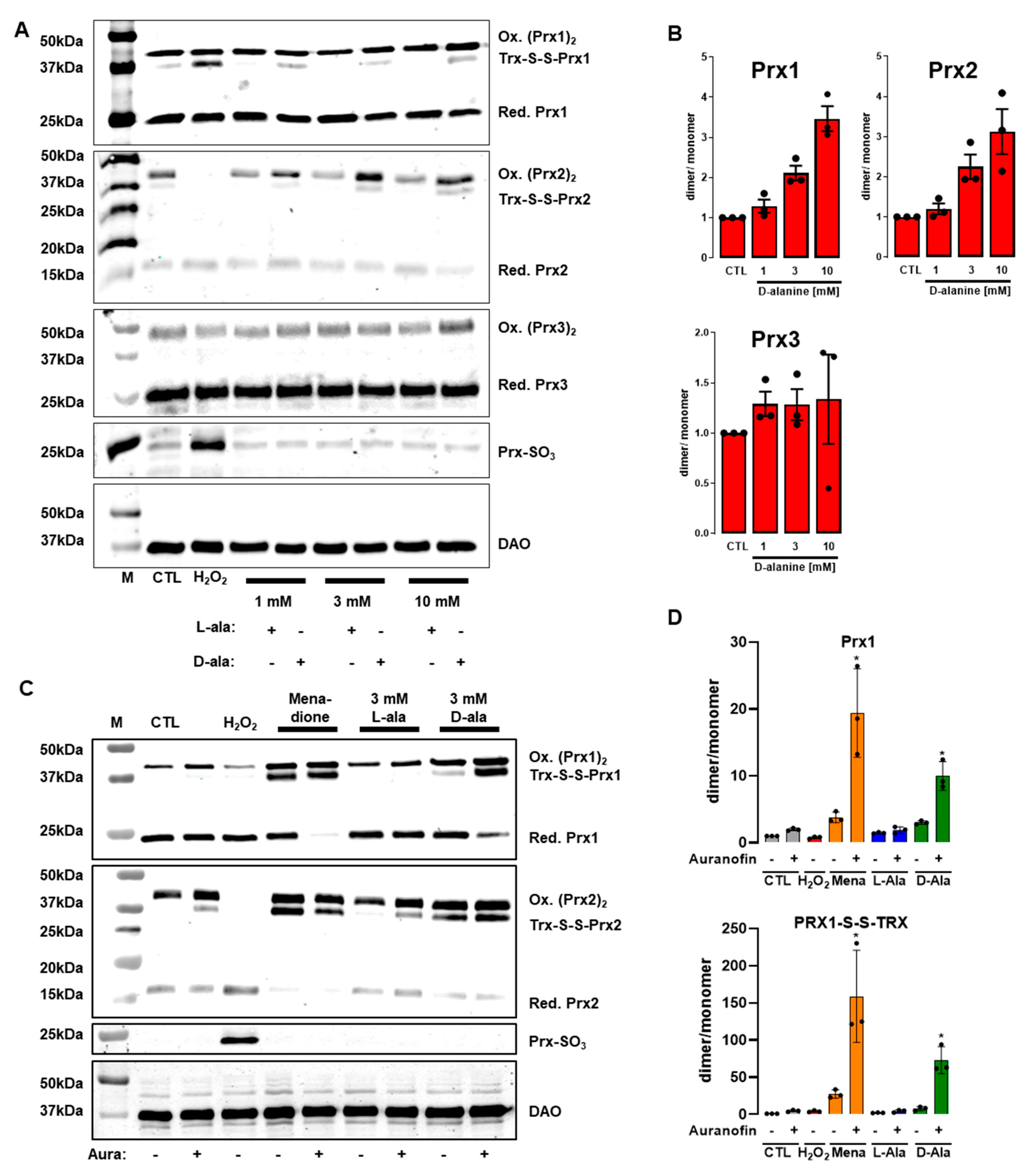 Antioxidants 11 00434 g005