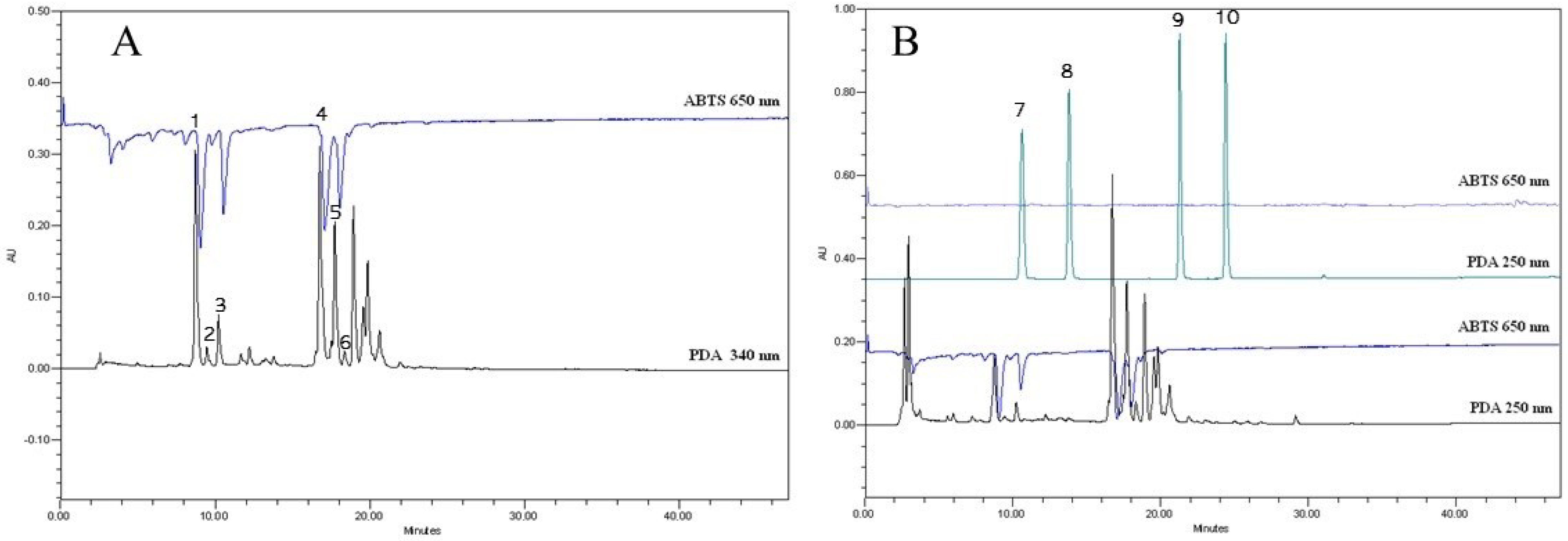 Antioxidants 11 00435 g010 550