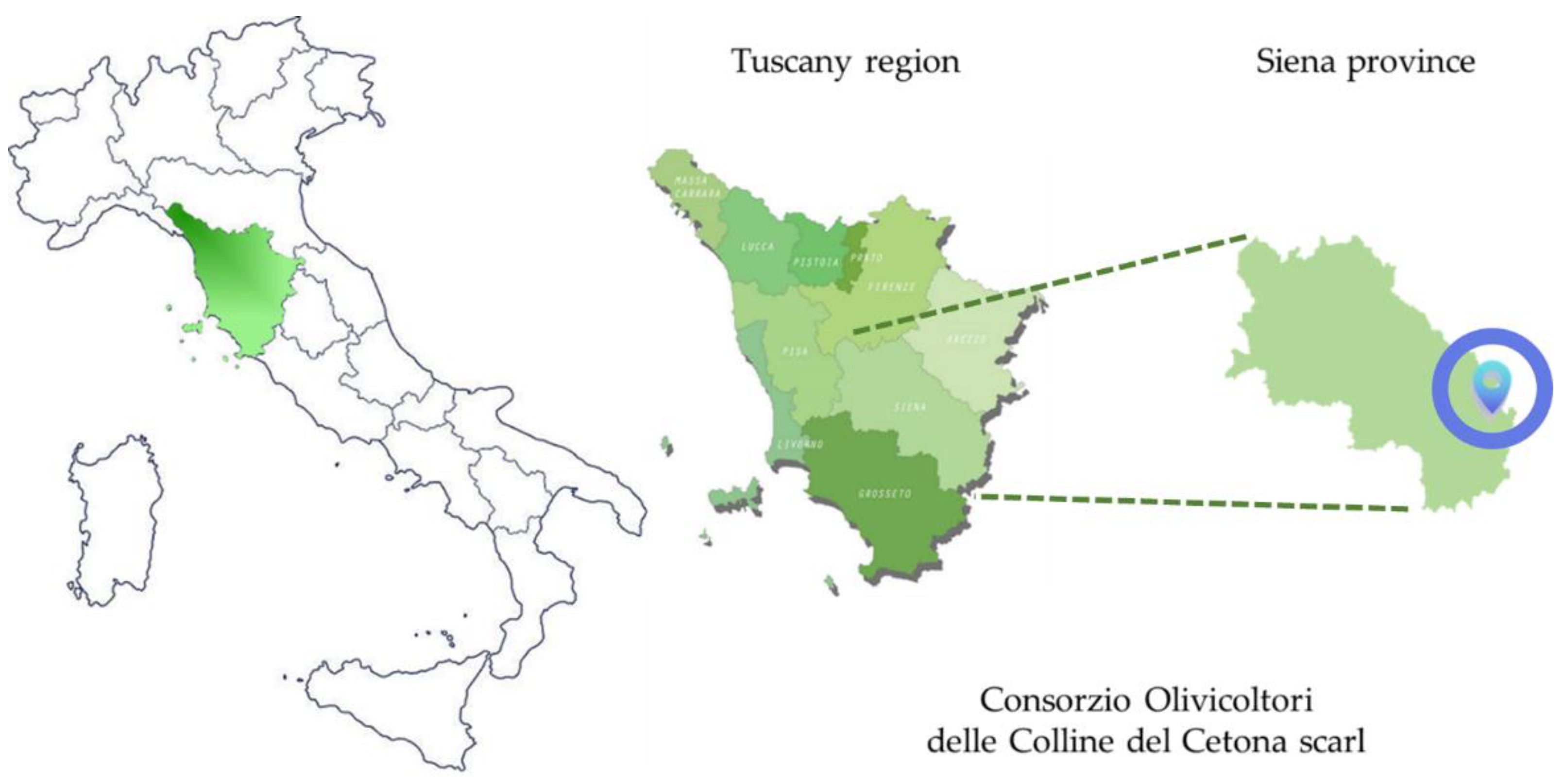 Antioxidants 11 00437 g001 550
