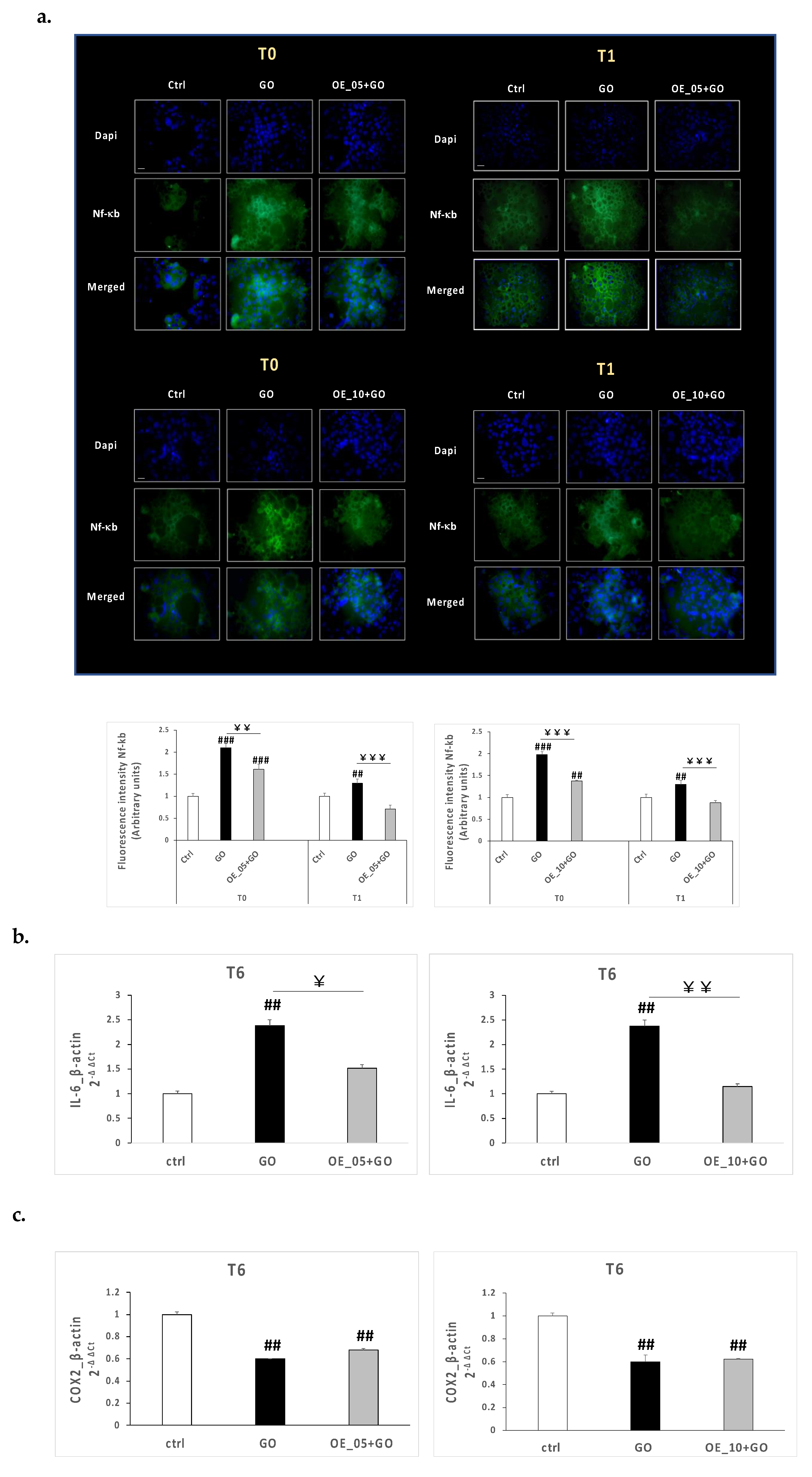 Antioxidants 11 00437 g005 550